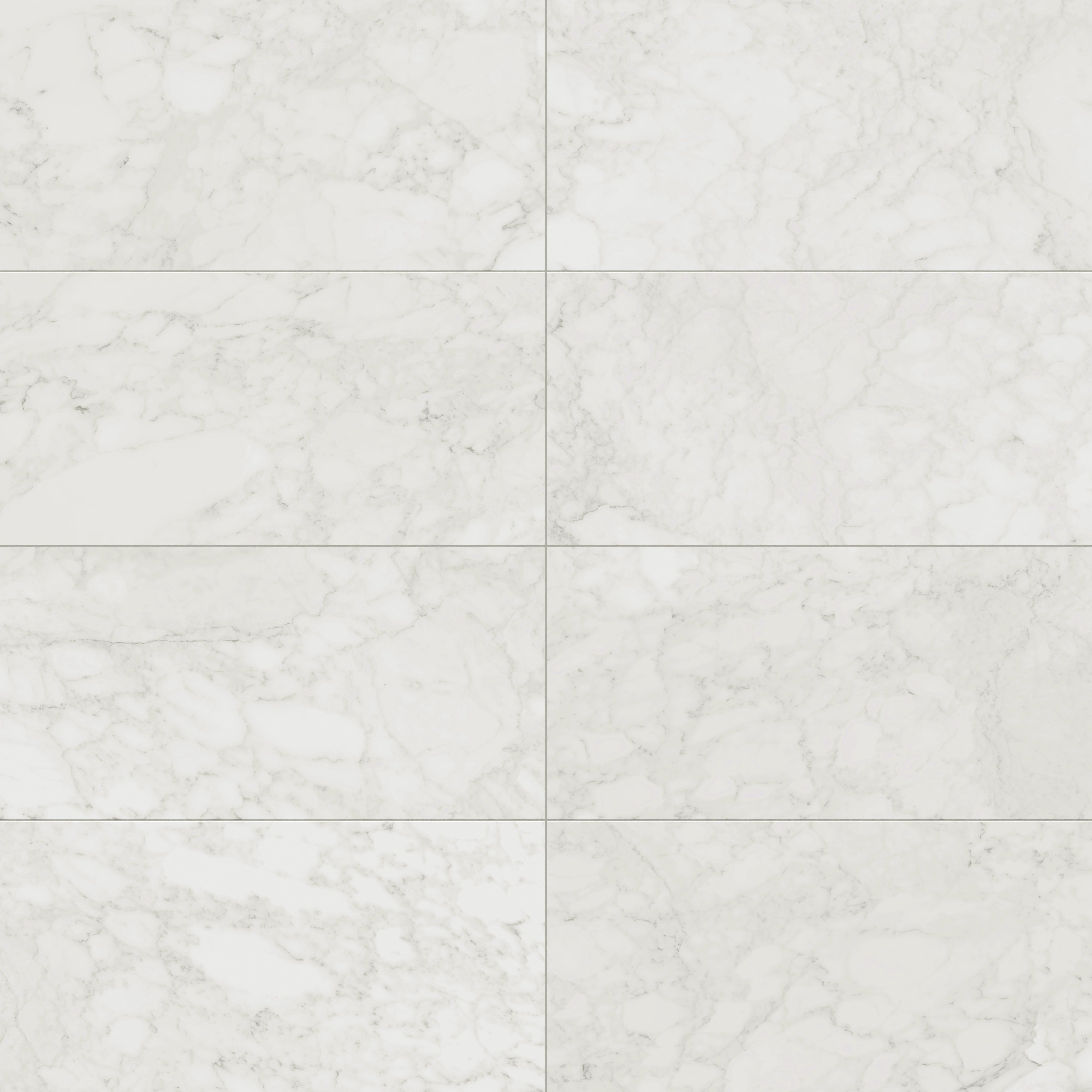 Aniston 24x48 Matte Porcelain Tile in Carrara Bianco