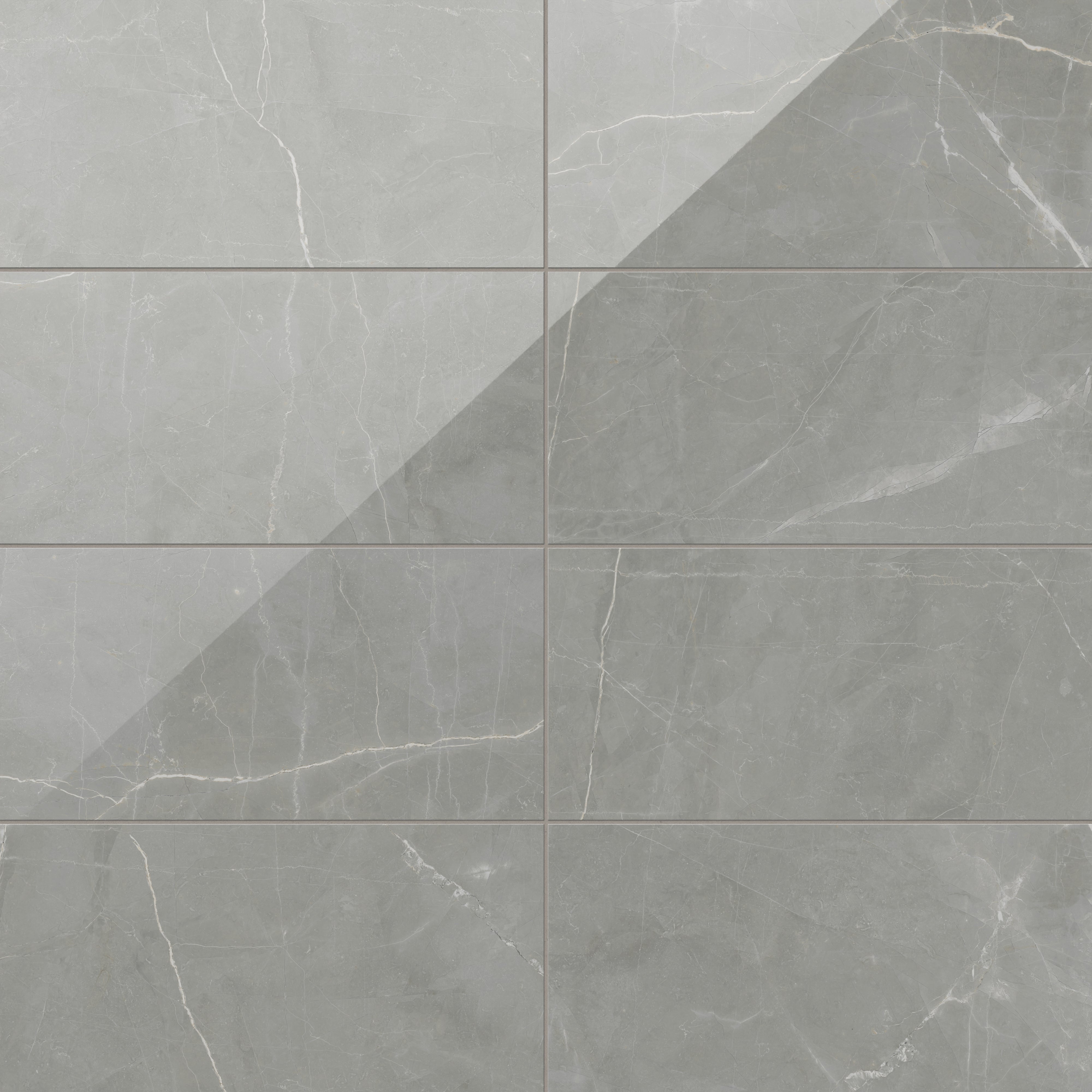 Leona 12x24 Polished Porcelain Tile in Amani Grey