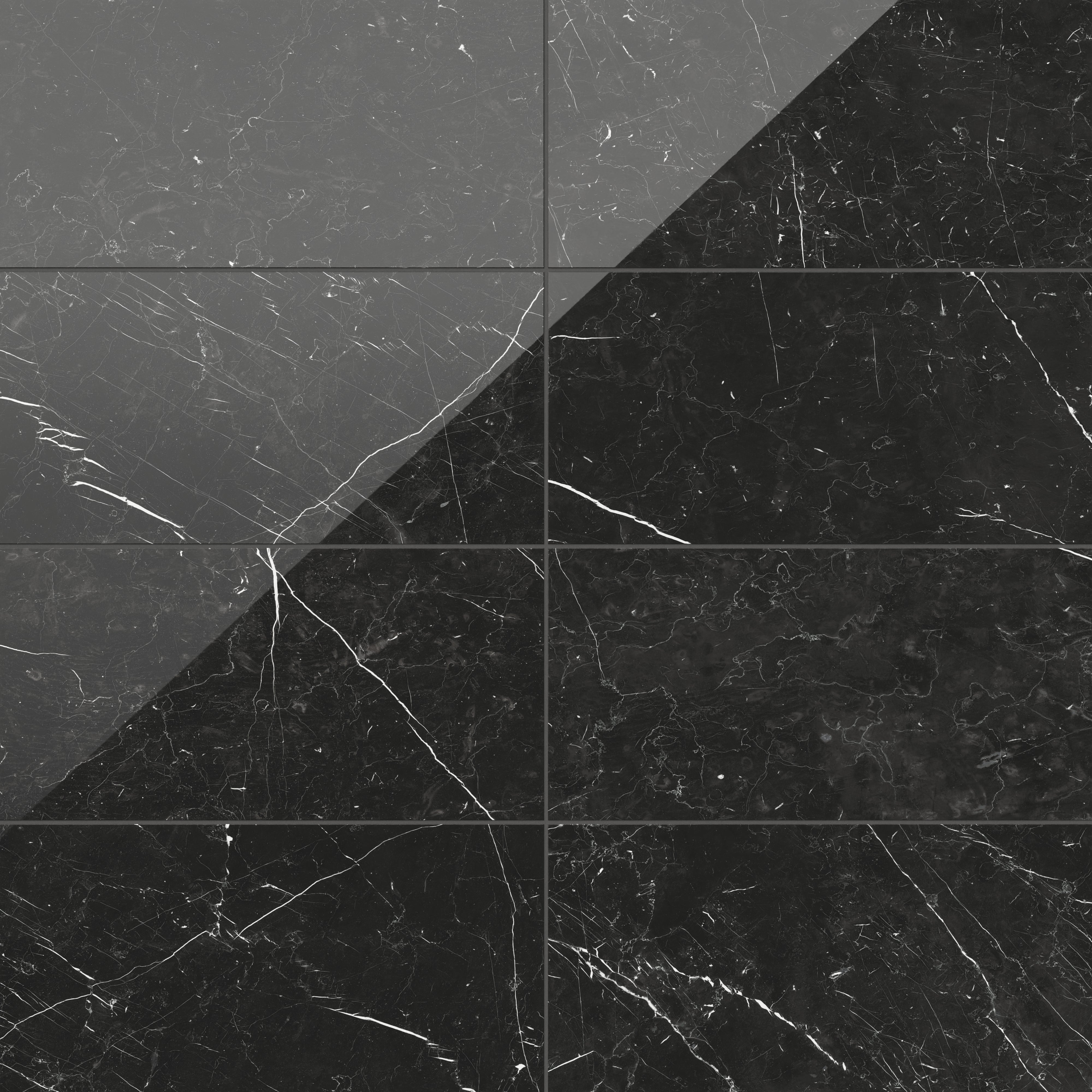 Leona 12x24 Polished Porcelain Tile in Nero Marquina