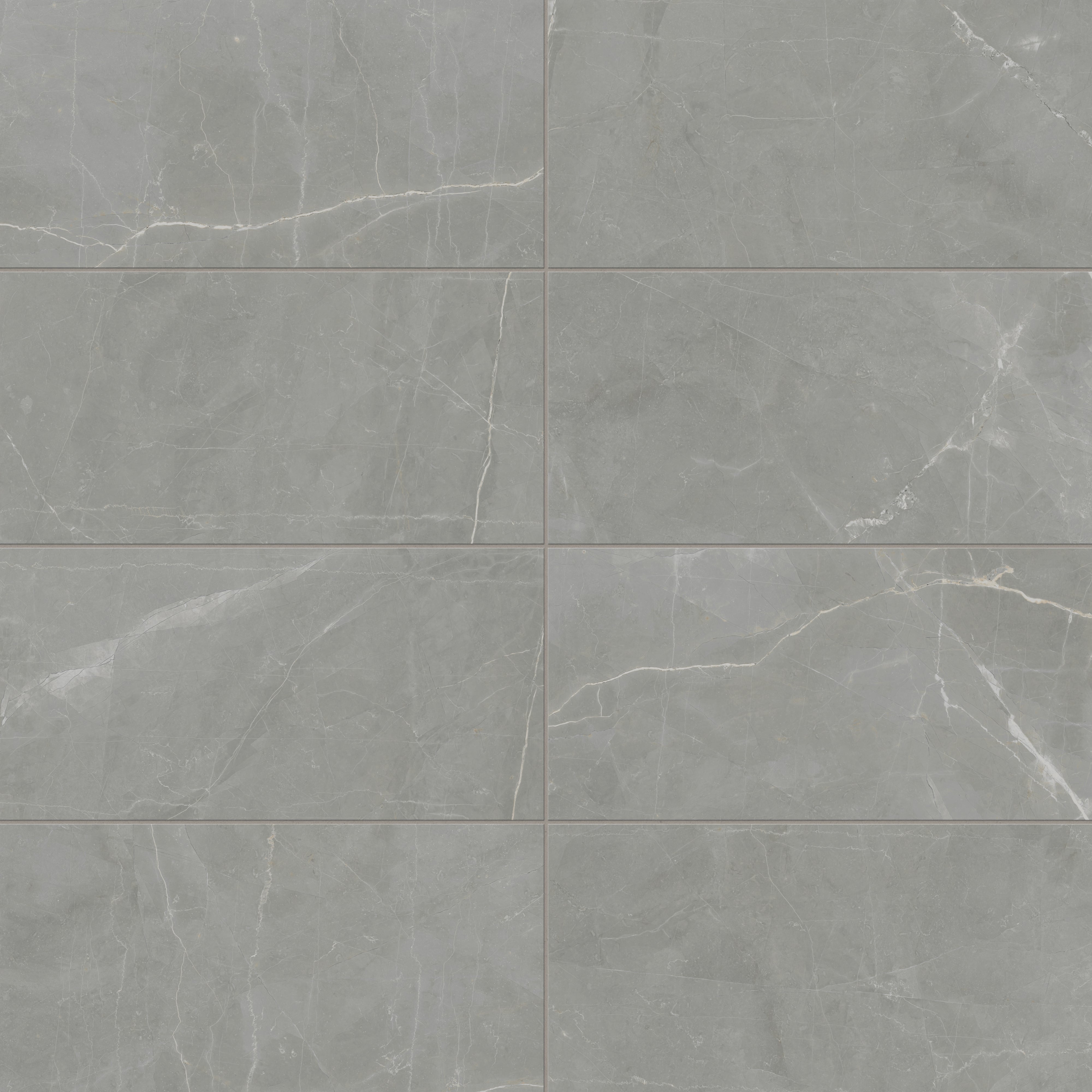 Leona 12x24 Matte Porcelain Tile in Amani Grey