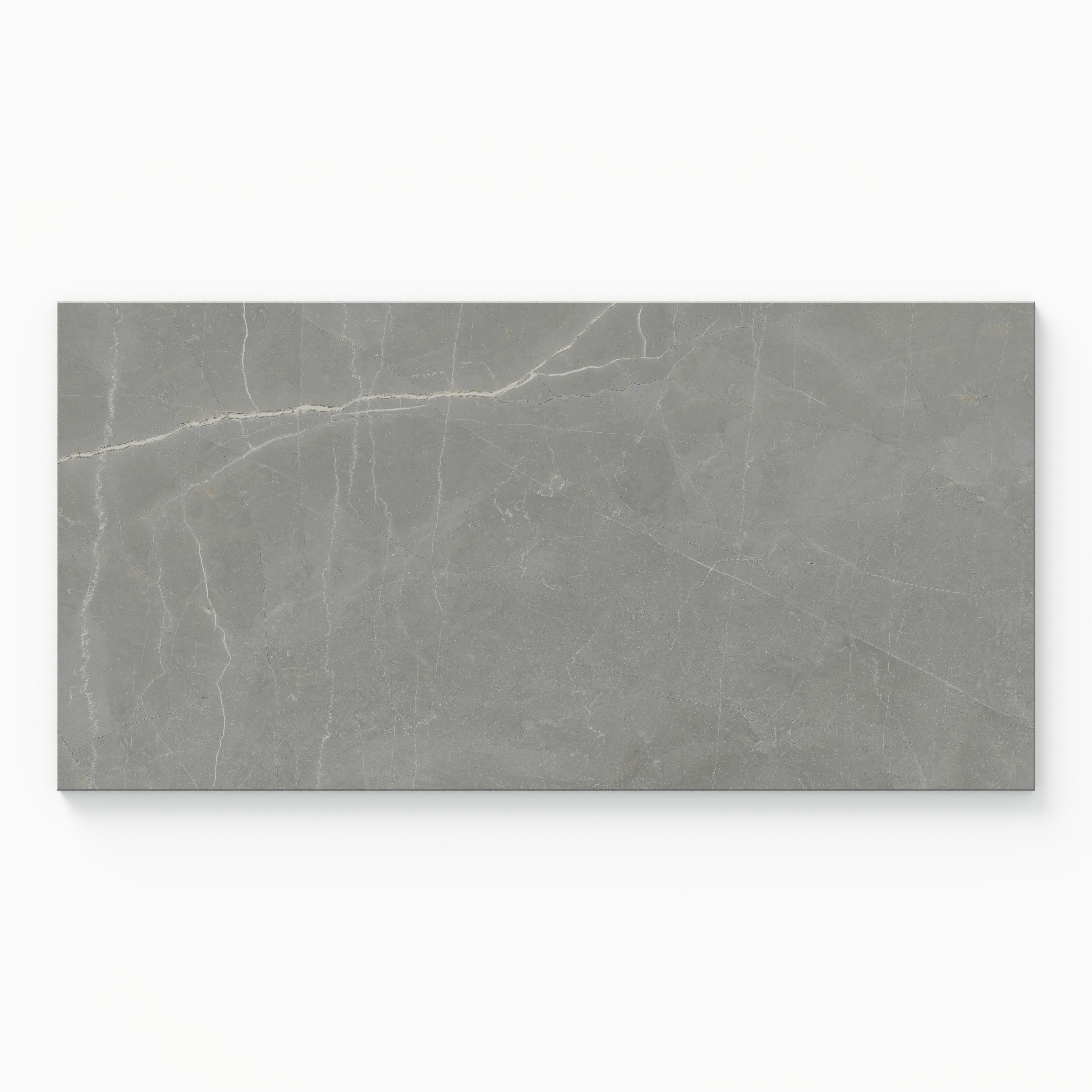 Leona 12x24 Matte Porcelain Tile in Amani Grey