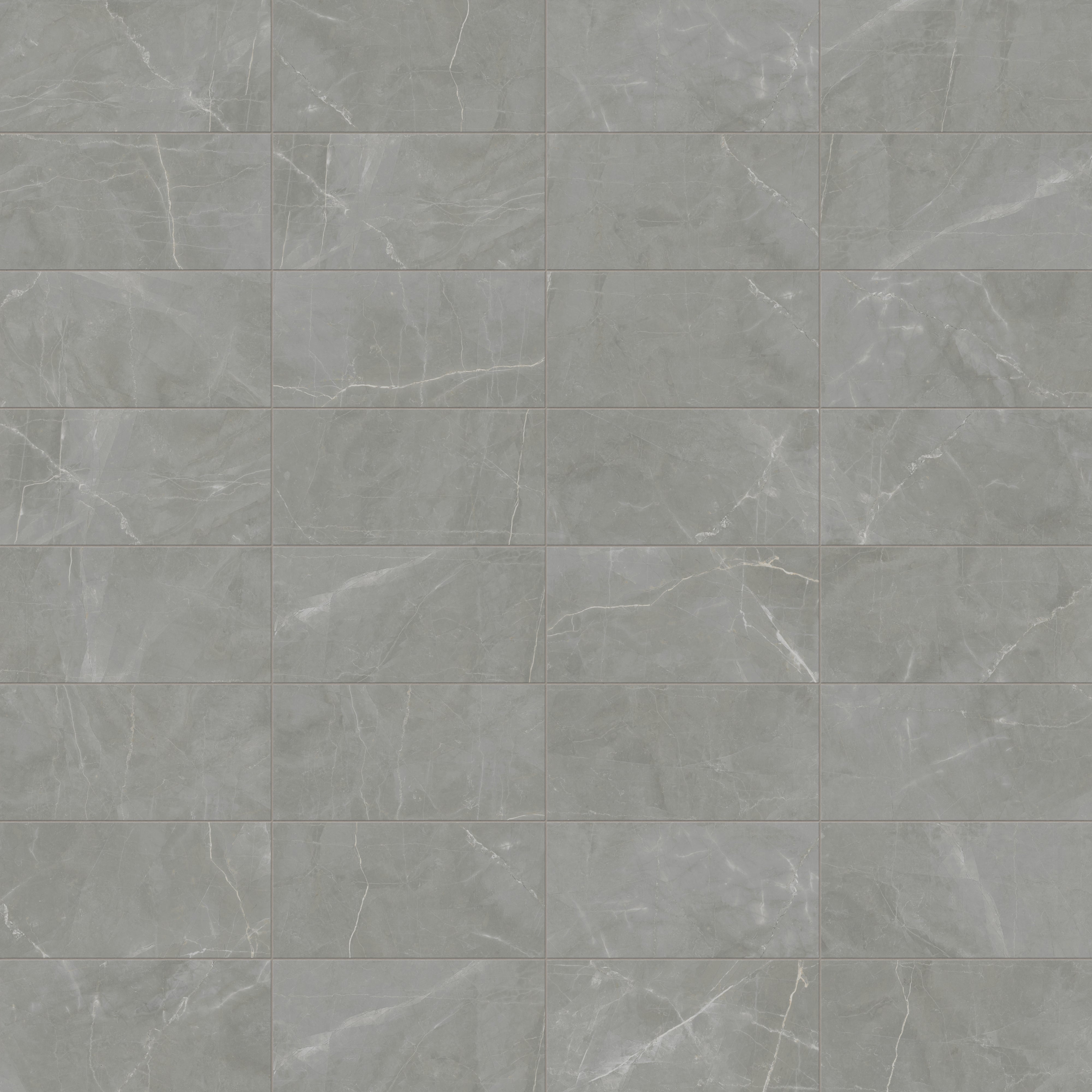 Leona 12x24 Matte Porcelain Tile in Amani Grey