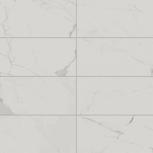 Leona 12x24 Matte Porcelain Tile In Calacatta