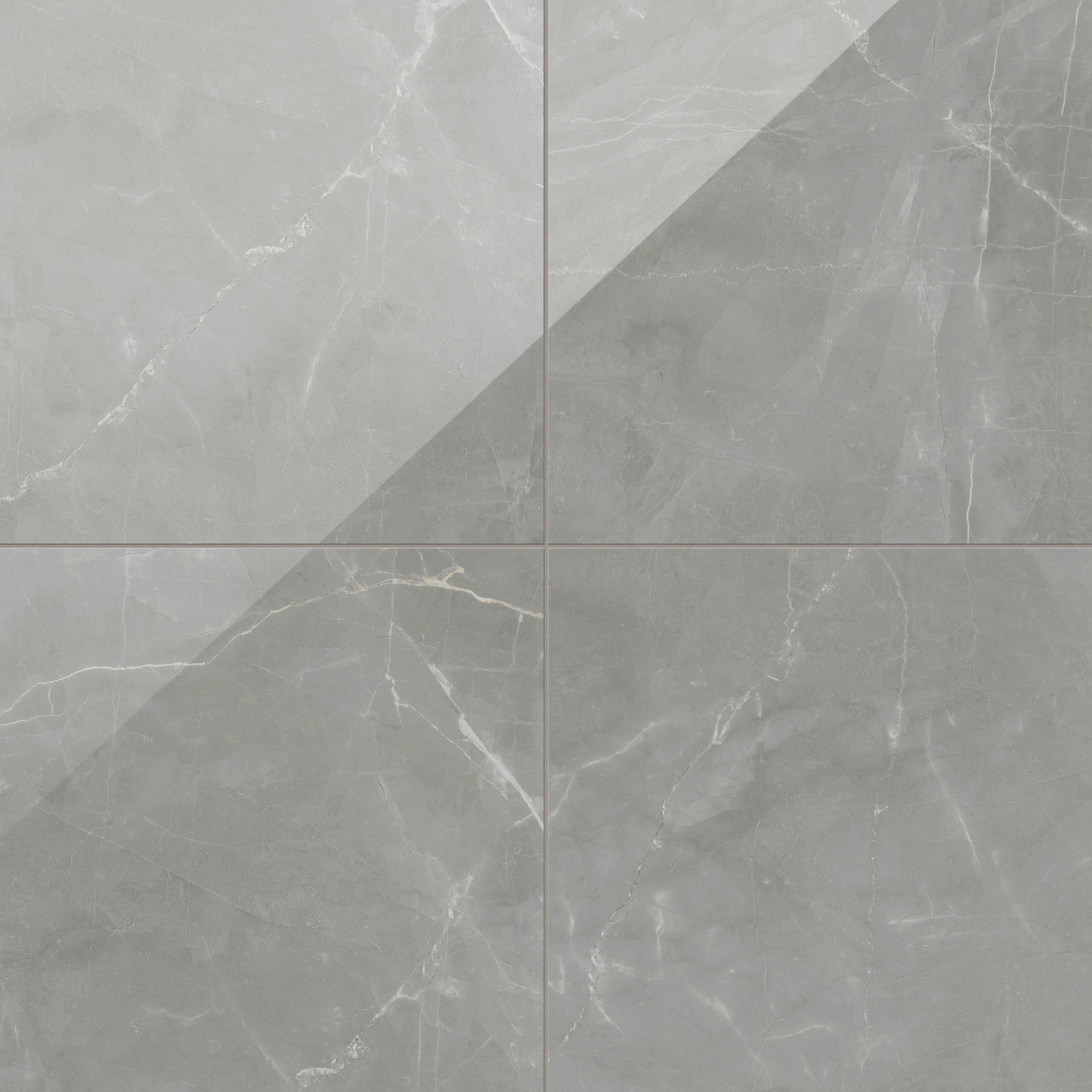 Leona 24x24 Polished Porcelain Tile in Amani Grey