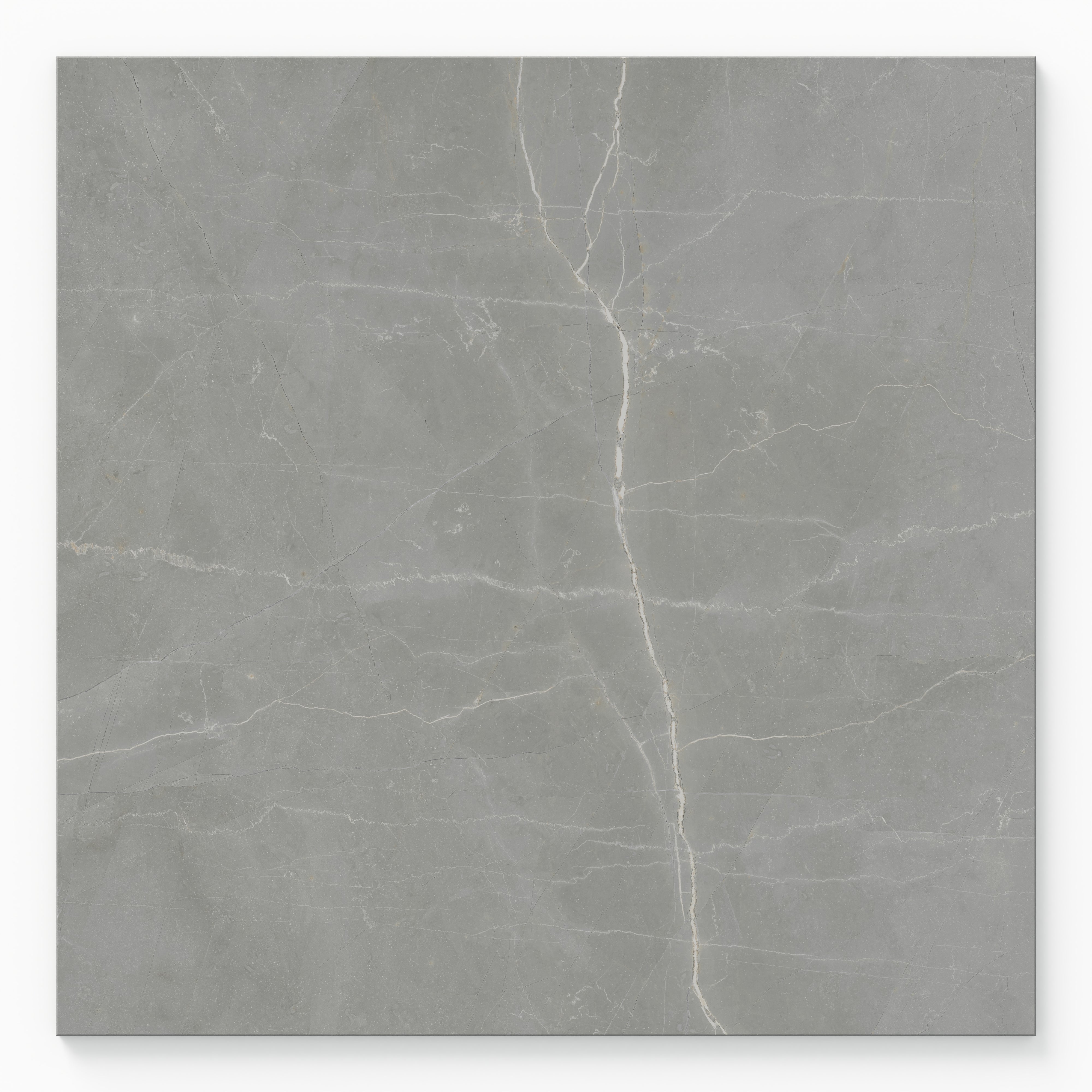 Leona 24x24 Polished Porcelain Tile in Amani Grey