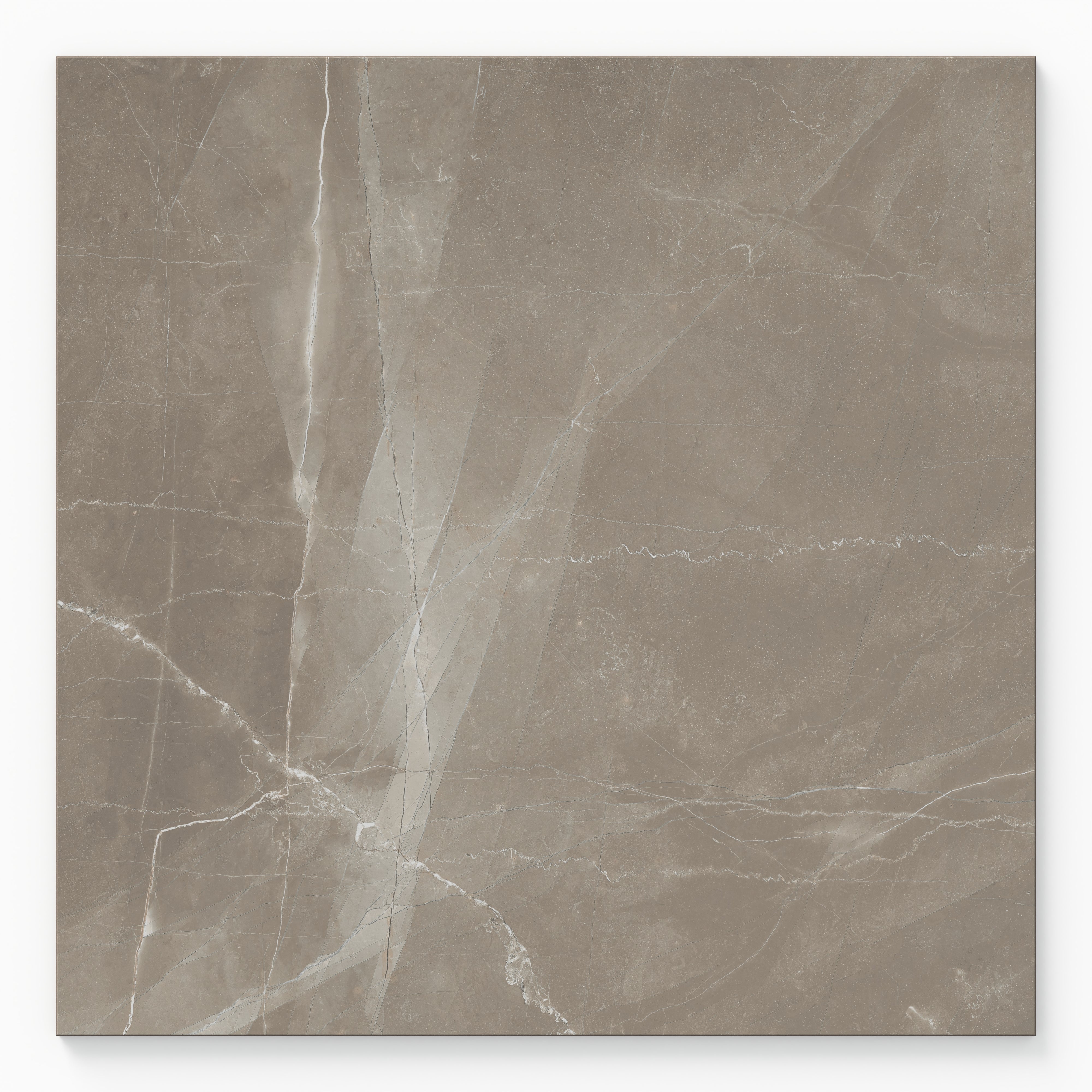 Leona 24x24 Polished Porcelain Tile in Amani Bronze