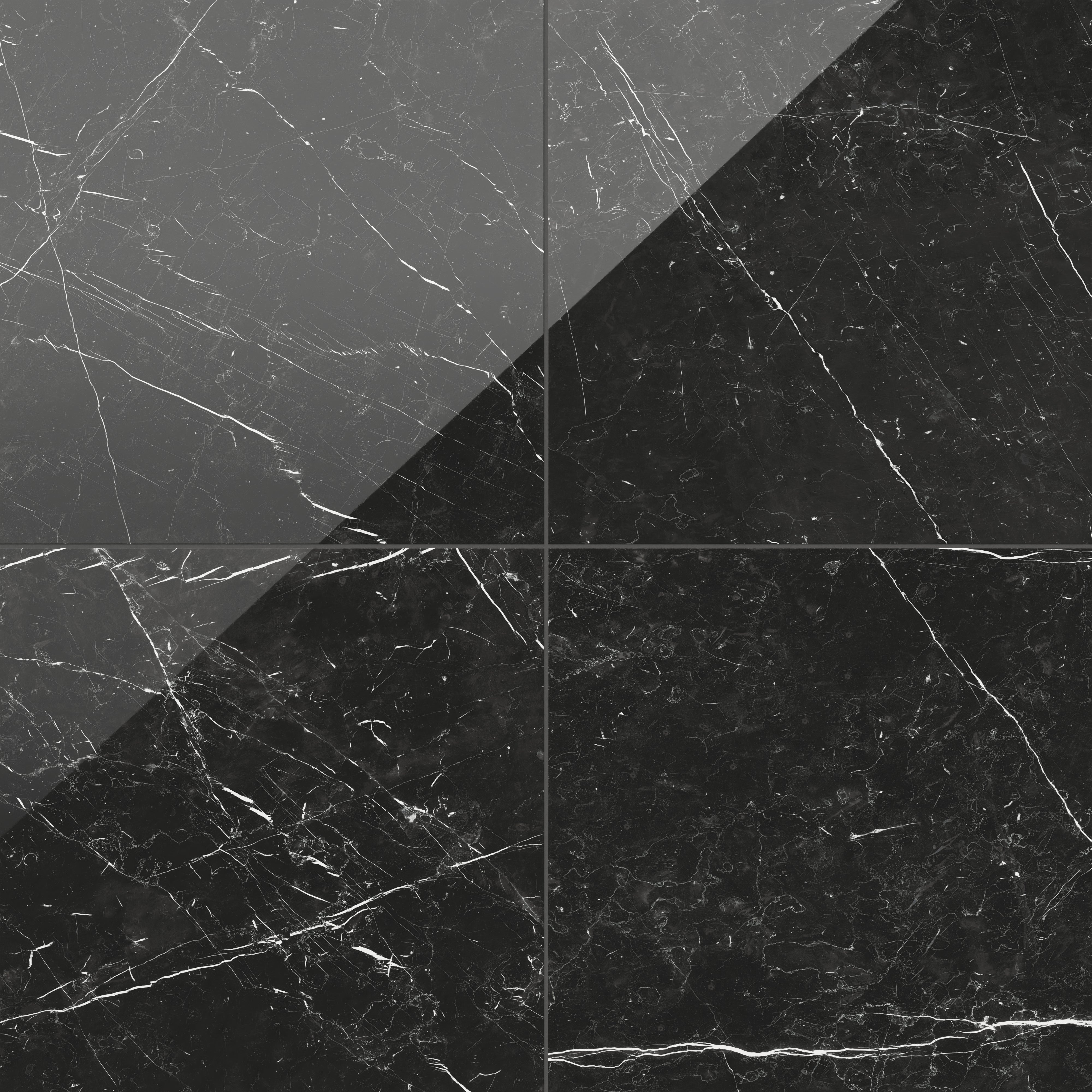 Leona 24x24 Polished Porcelain Tile in Nero Marquina