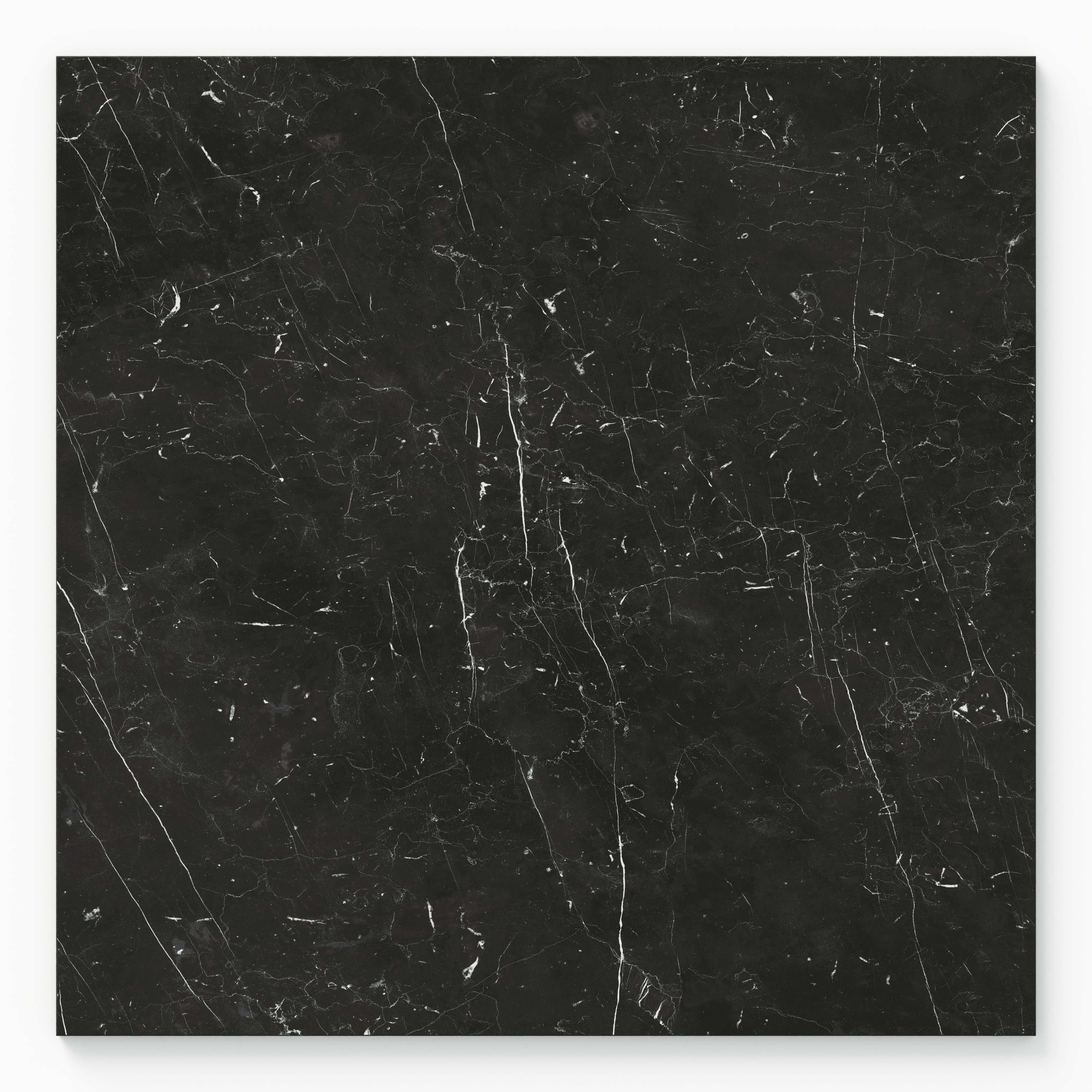 Leona 24x24 Polished Porcelain Tile in Nero Marquina