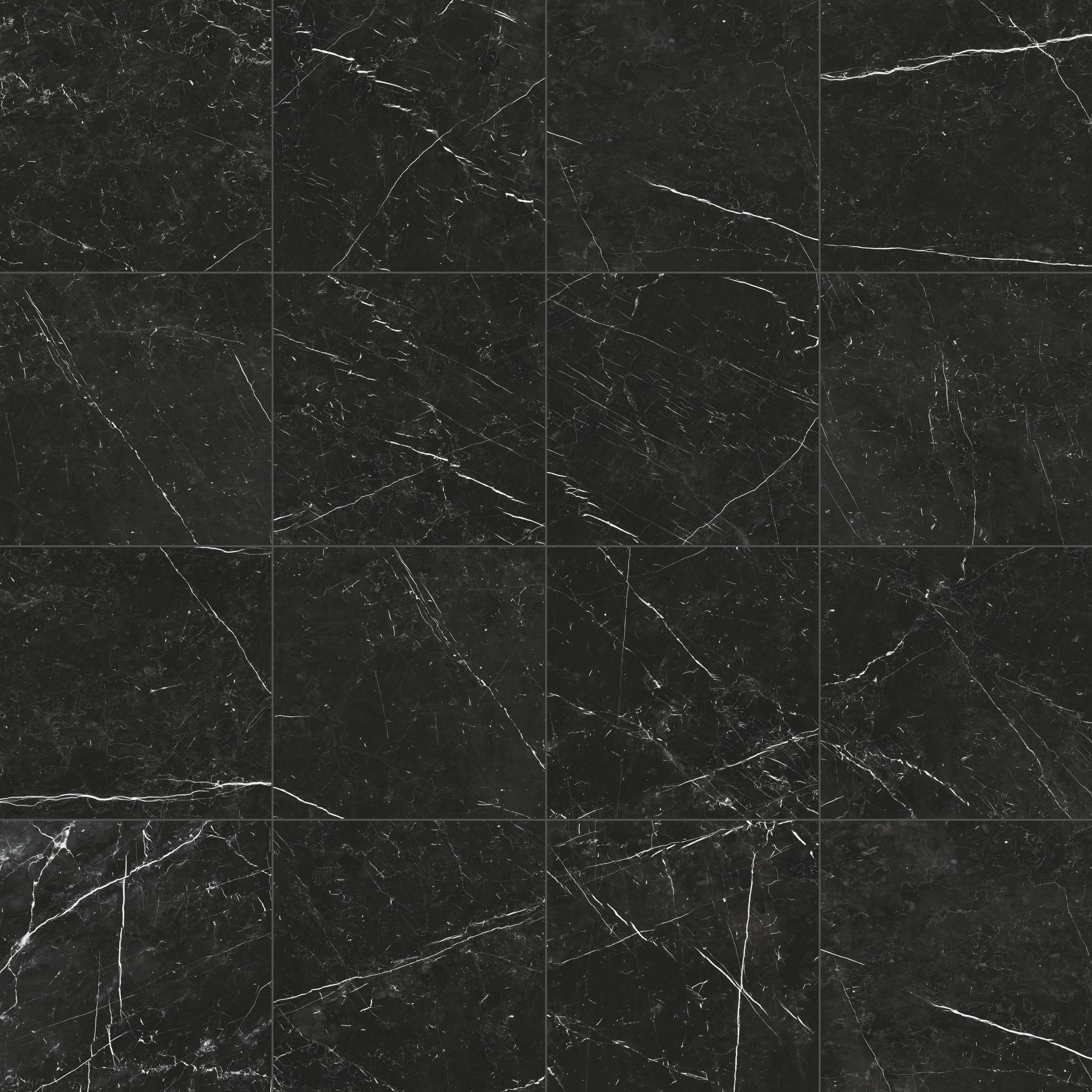 Leona 24x24 Polished Porcelain Tile in Nero Marquina