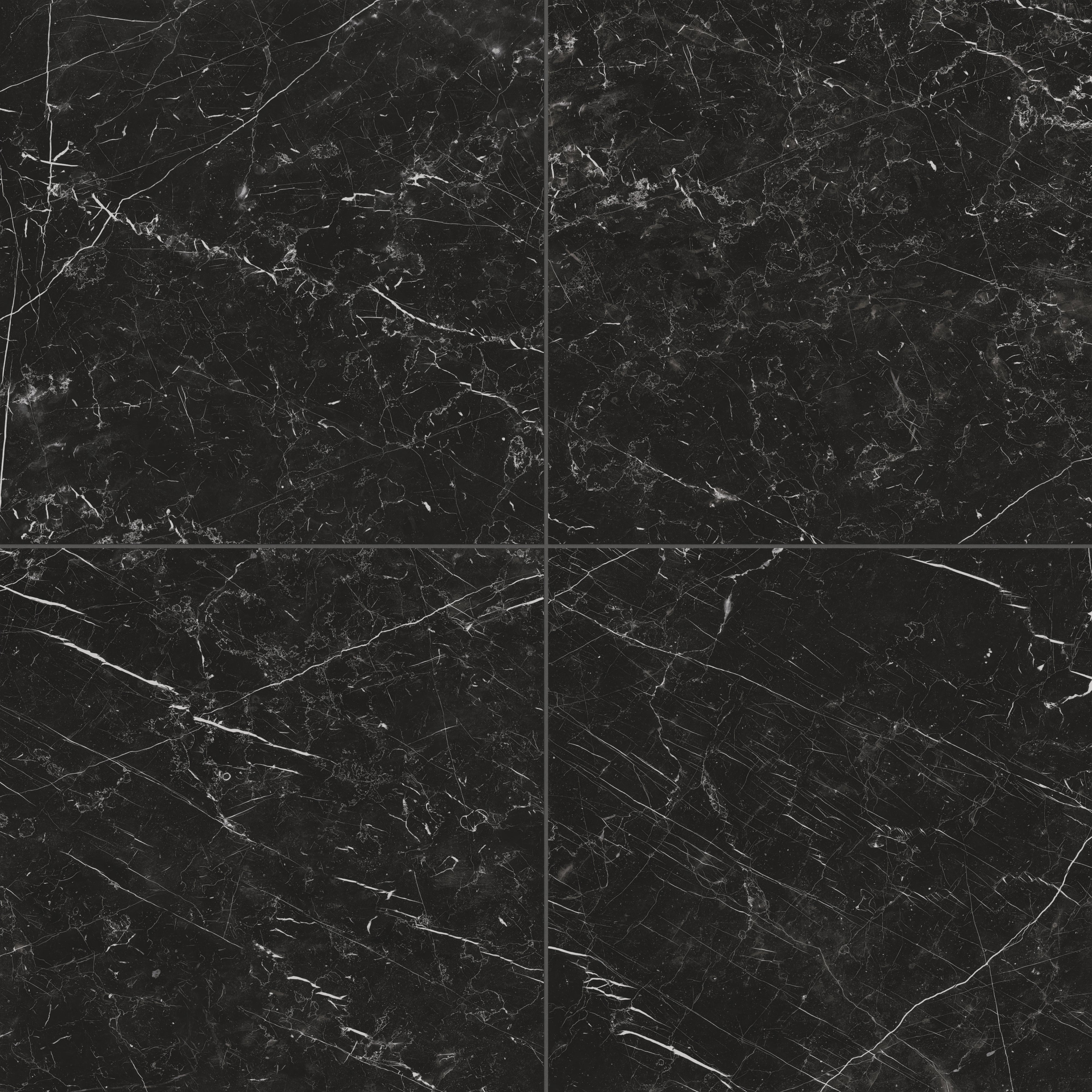 Leona 24x24 Matte Porcelain Tile in Nero Marquina