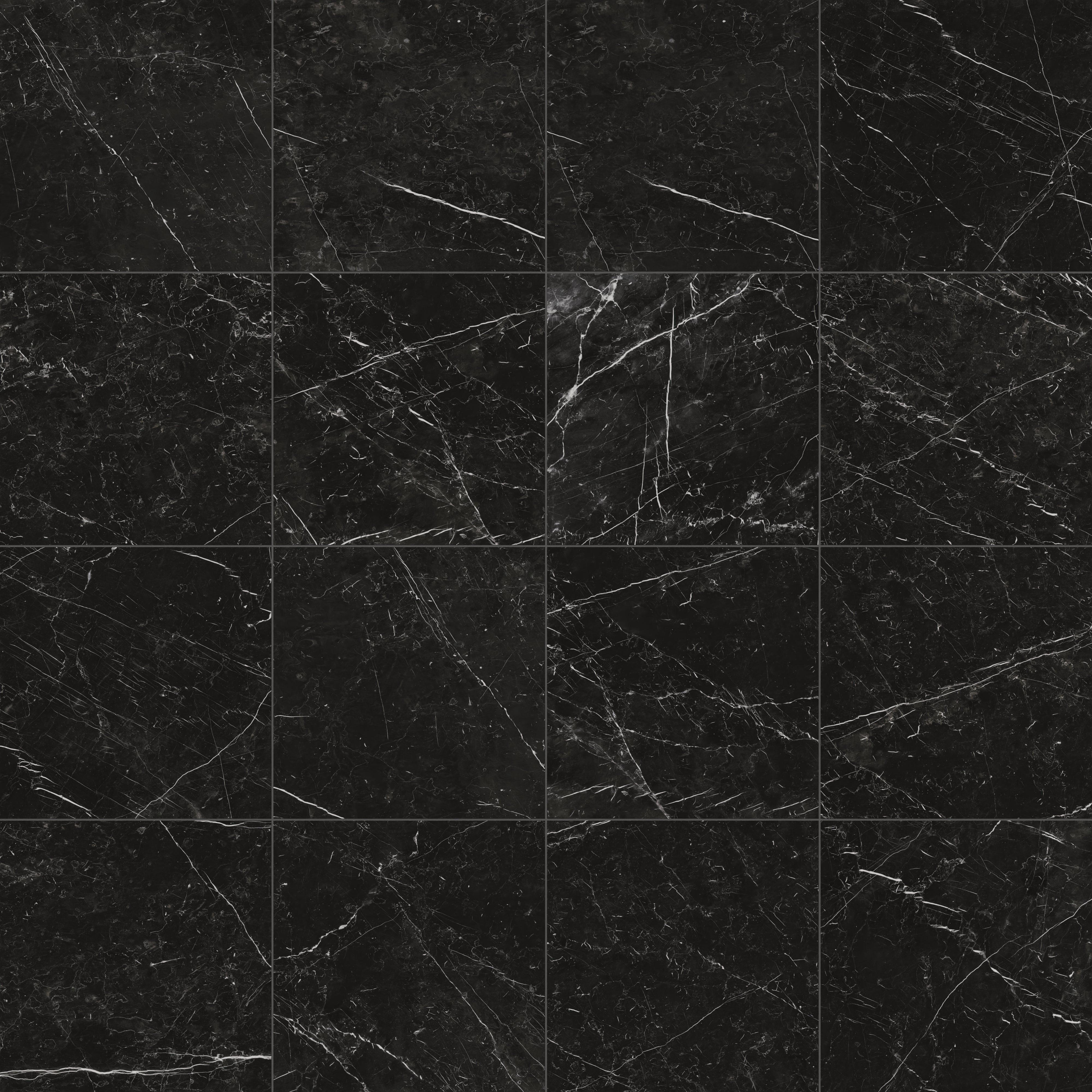 Leona 24x24 Matte Porcelain Tile in Nero Marquina