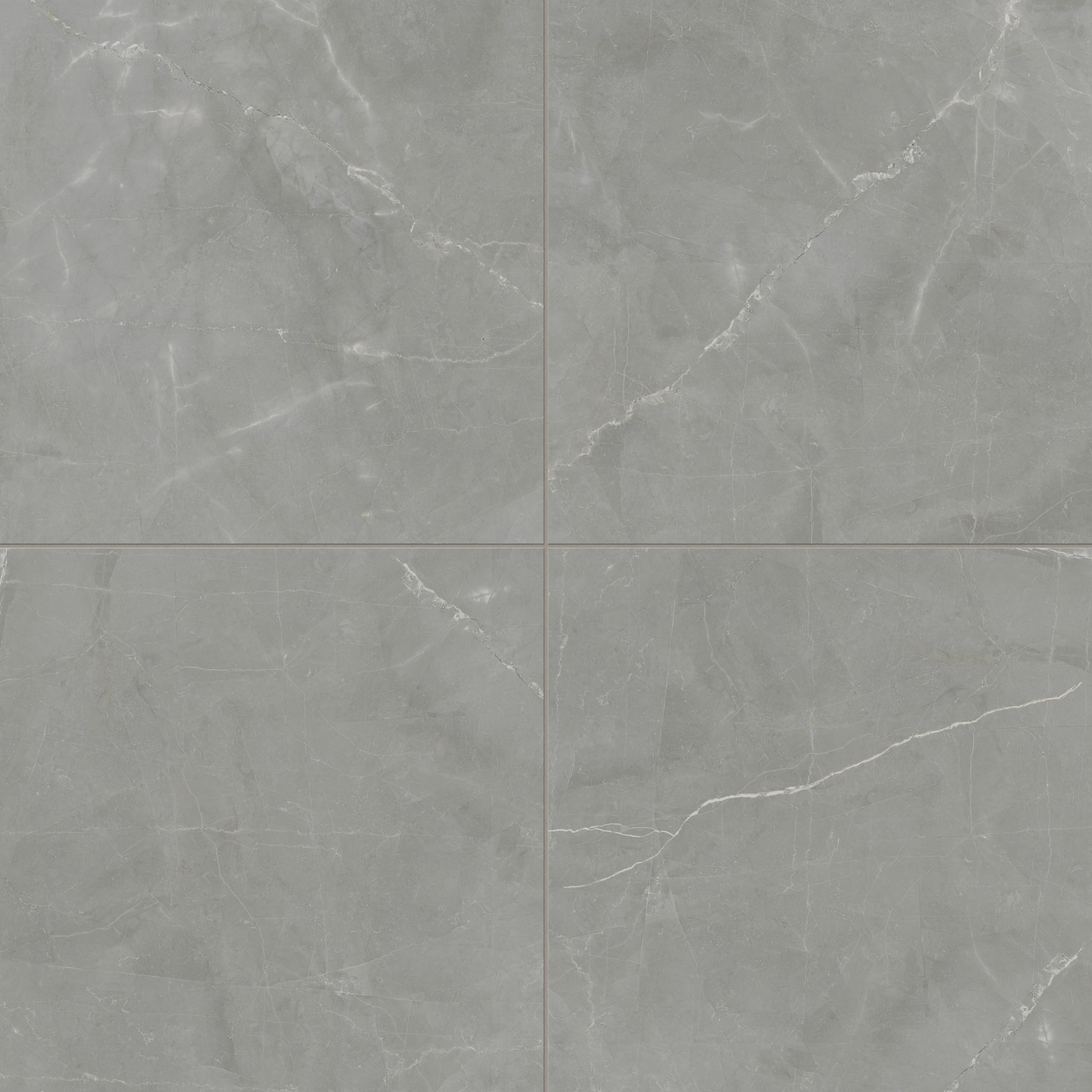 Leona 24x24 Matte Porcelain Tile in Amani Grey