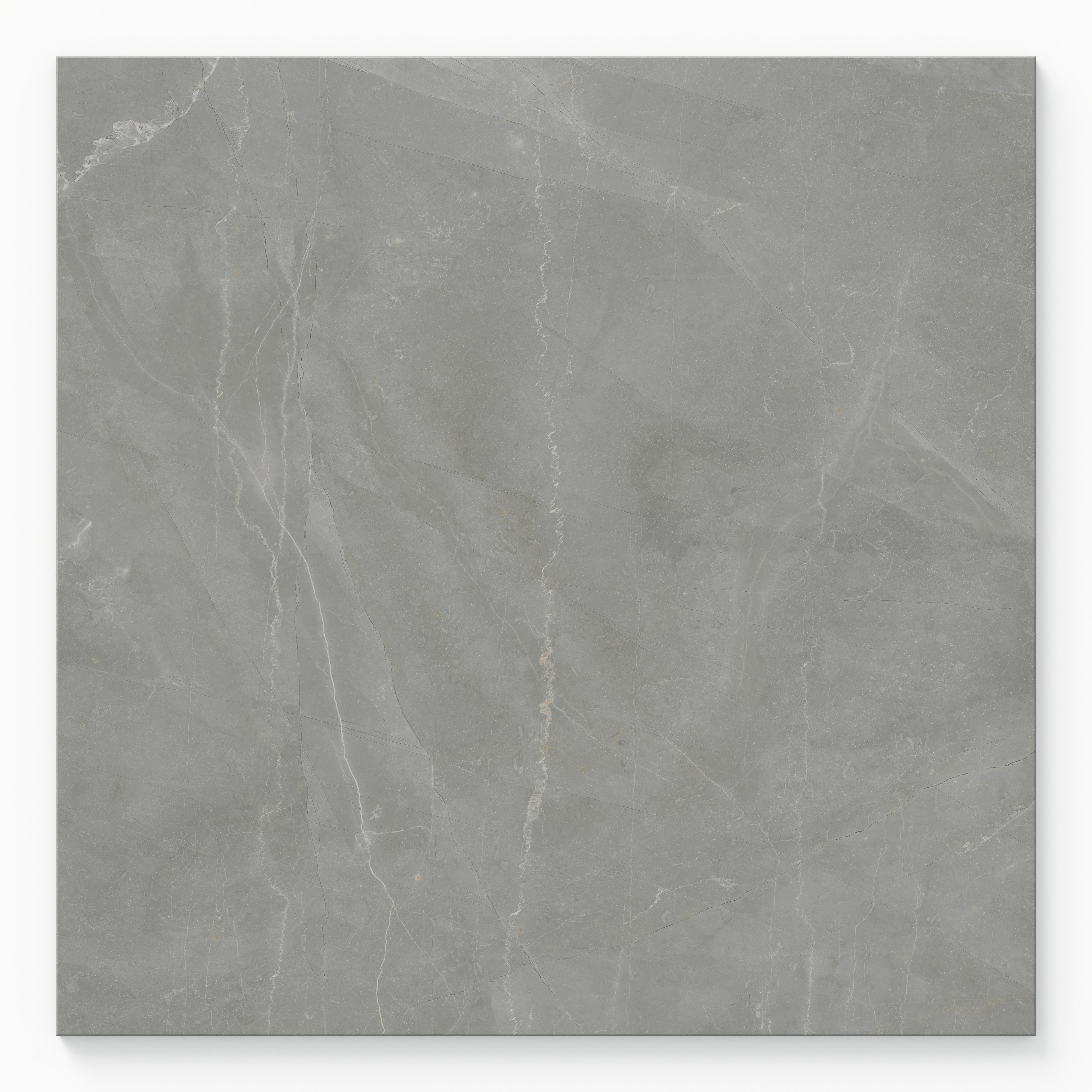 Leona 24x24 Matte Porcelain Tile in Amani Grey