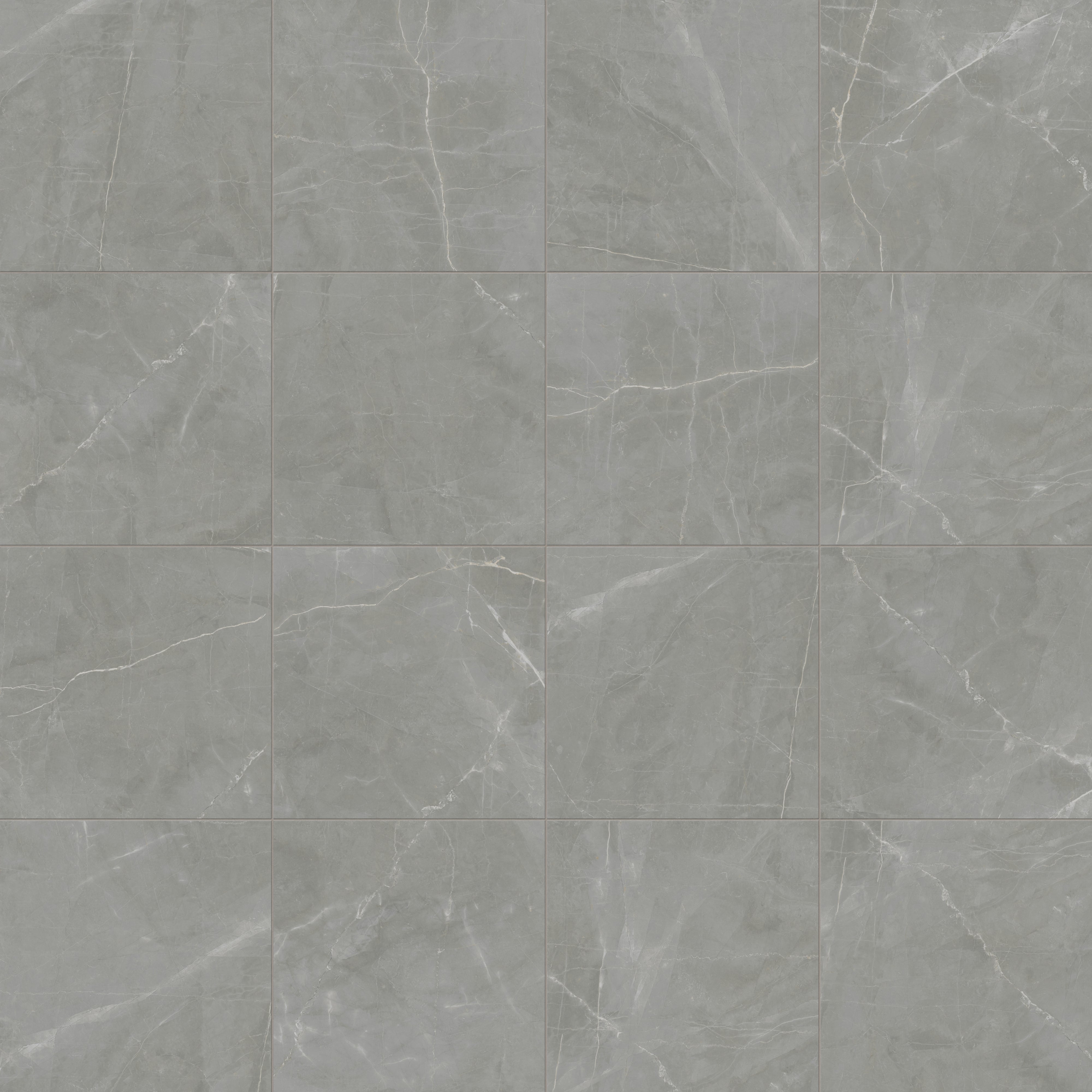 Leona 24x24 Matte Porcelain Tile in Amani Grey