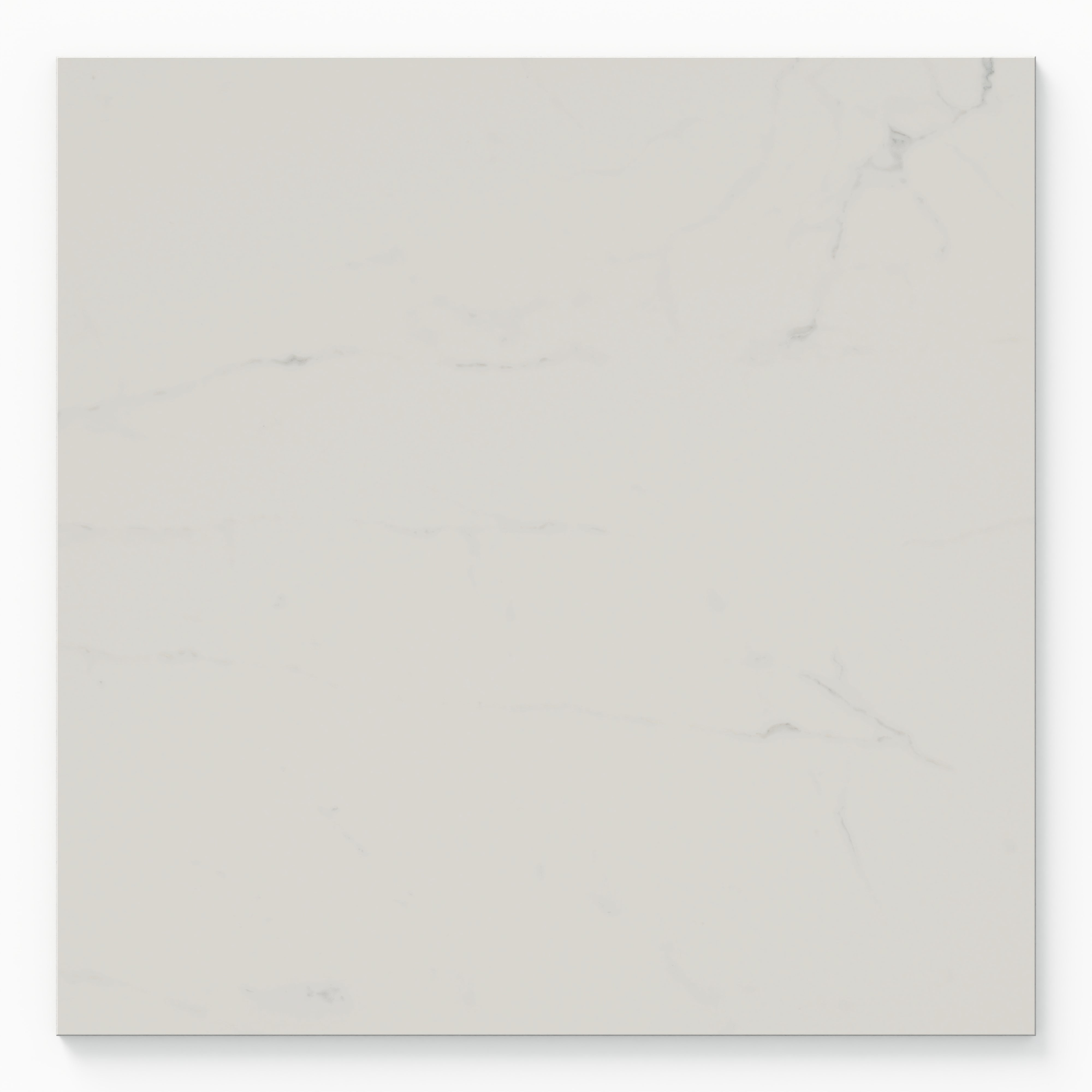 Leona 24x24 Matte Porcelain Tile in Calacatta