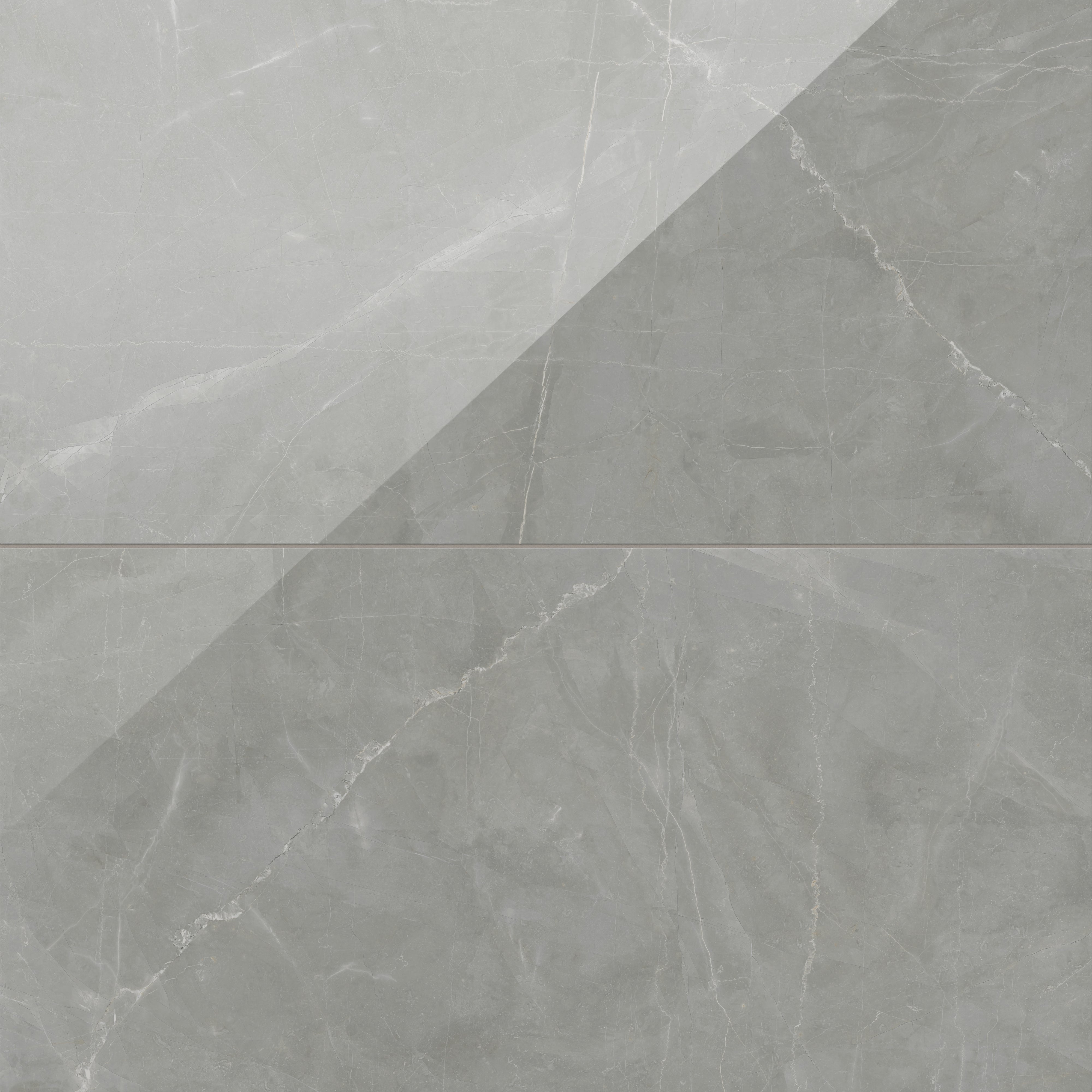 Leona 24x48 Polished Porcelain Tile in Amani Grey