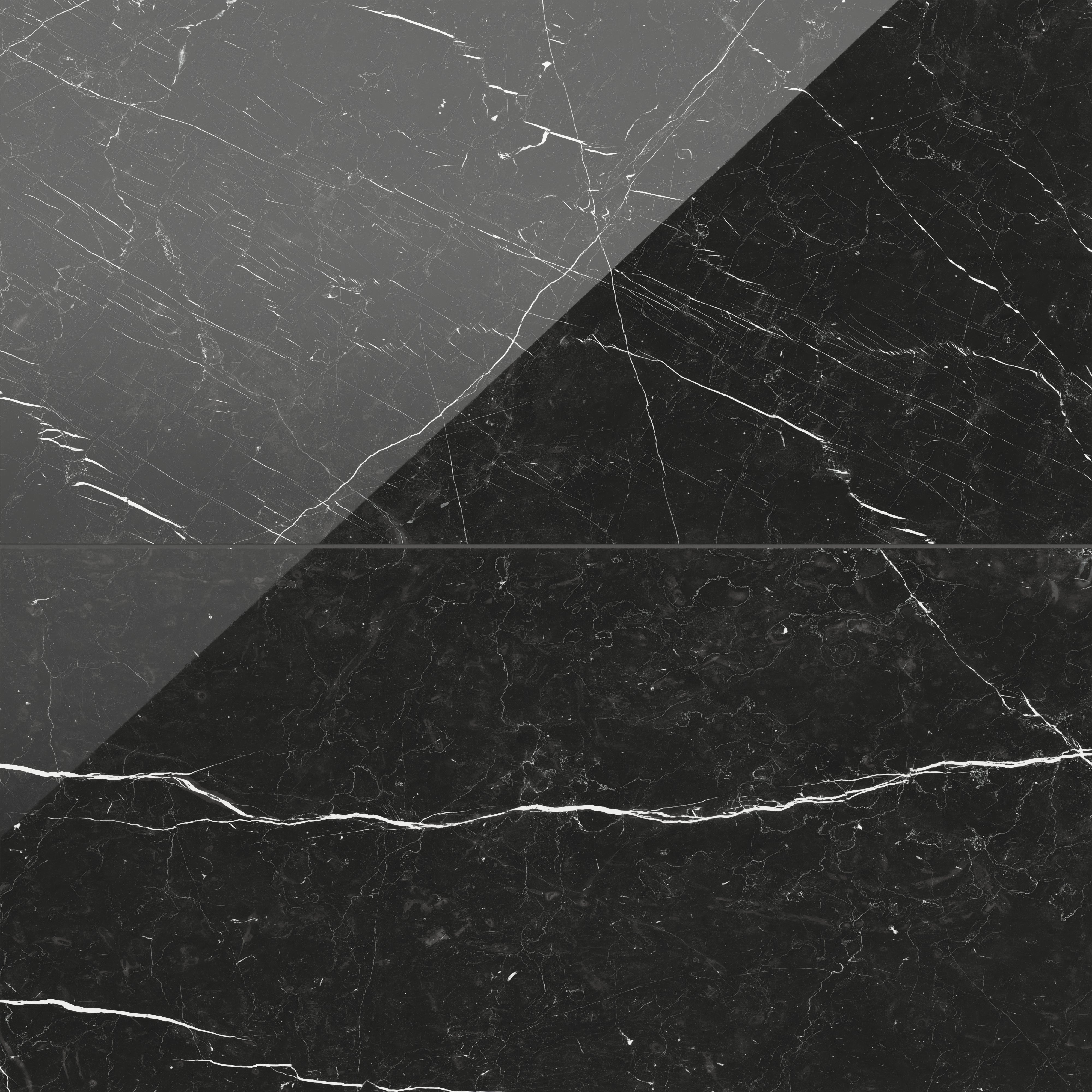 Leona 24x48 Polished Porcelain Tile in Nero Marquina