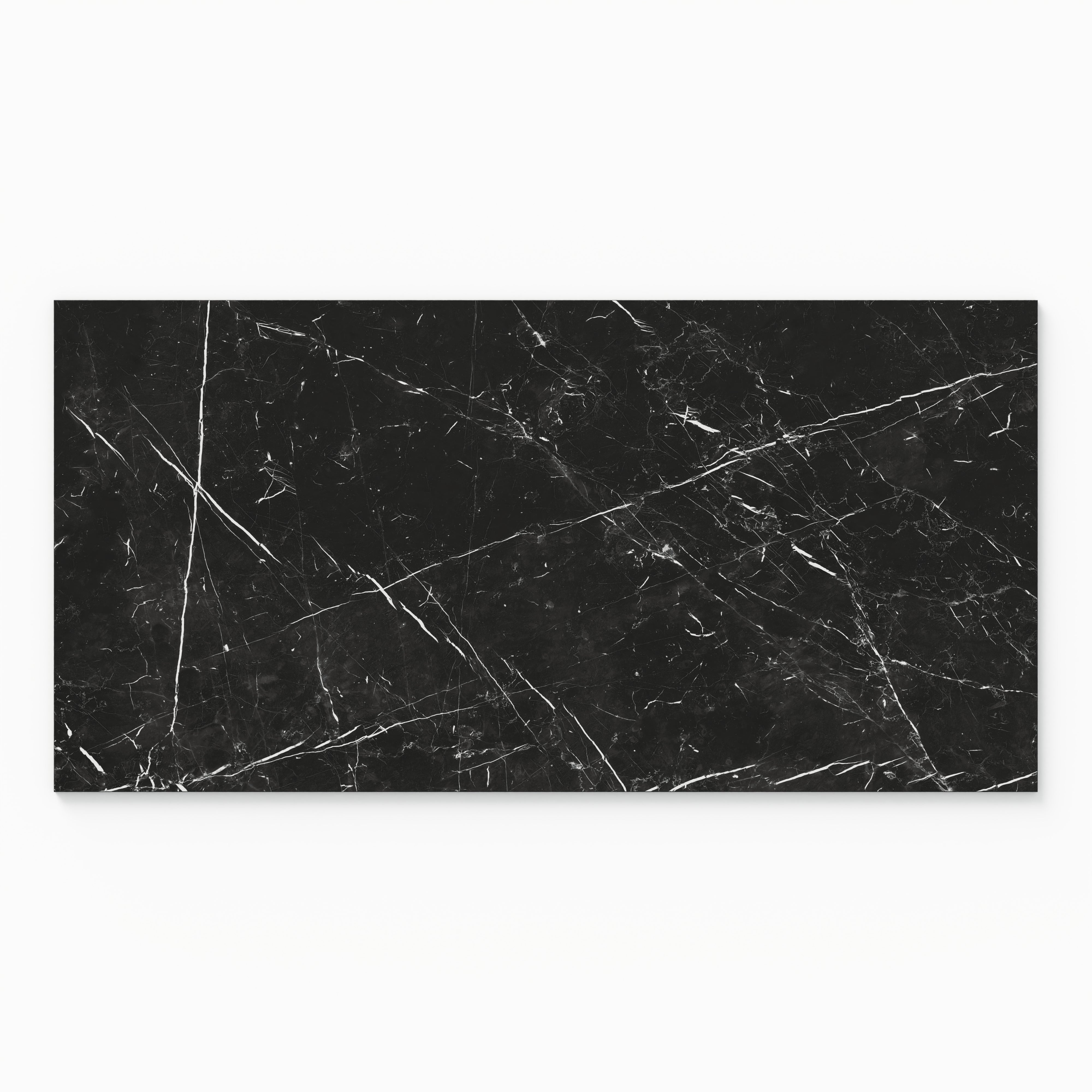 Leona 24x48 Polished Porcelain Tile in Nero Marquina