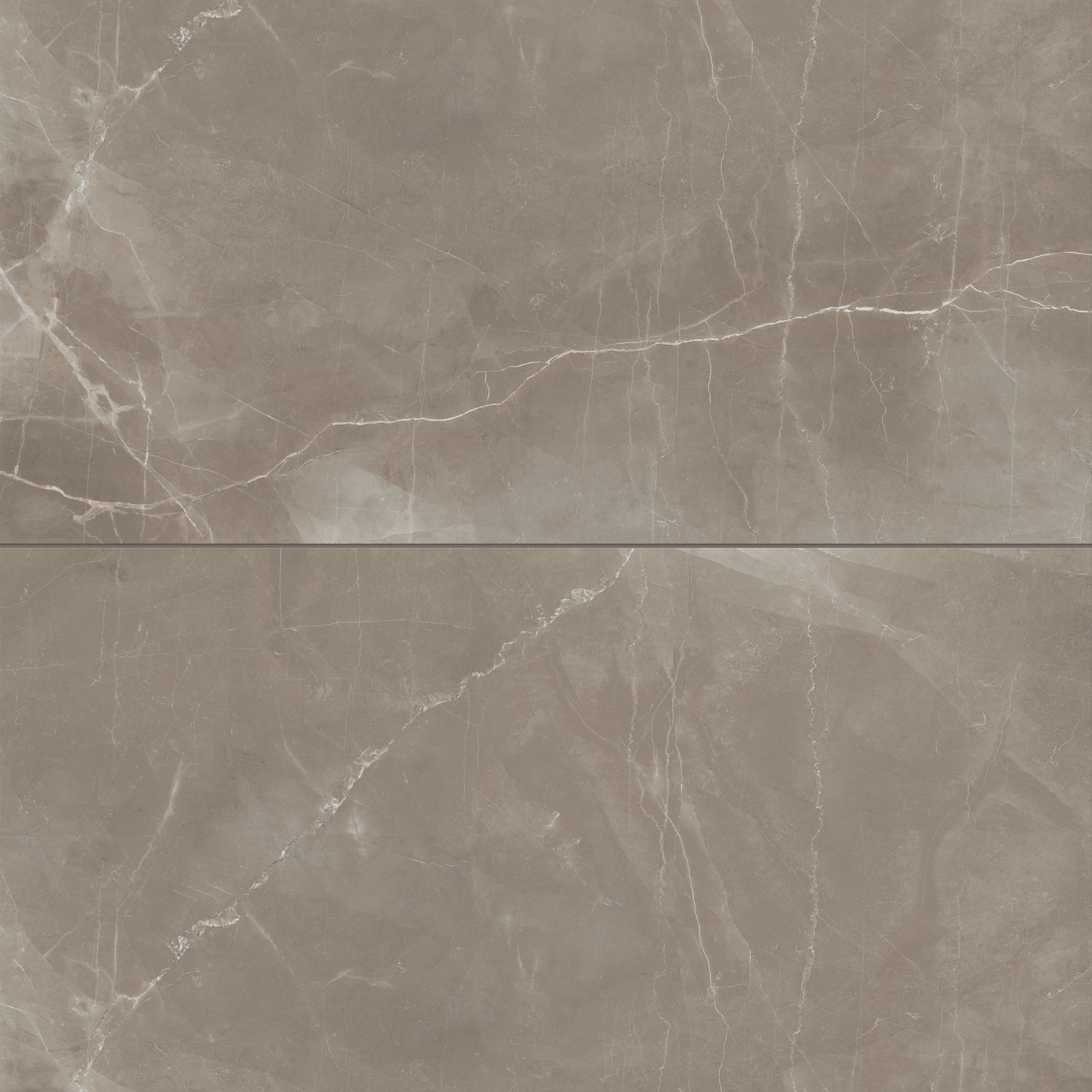 Leona 24x48 Matte Porcelain Tile in Amani Bronze