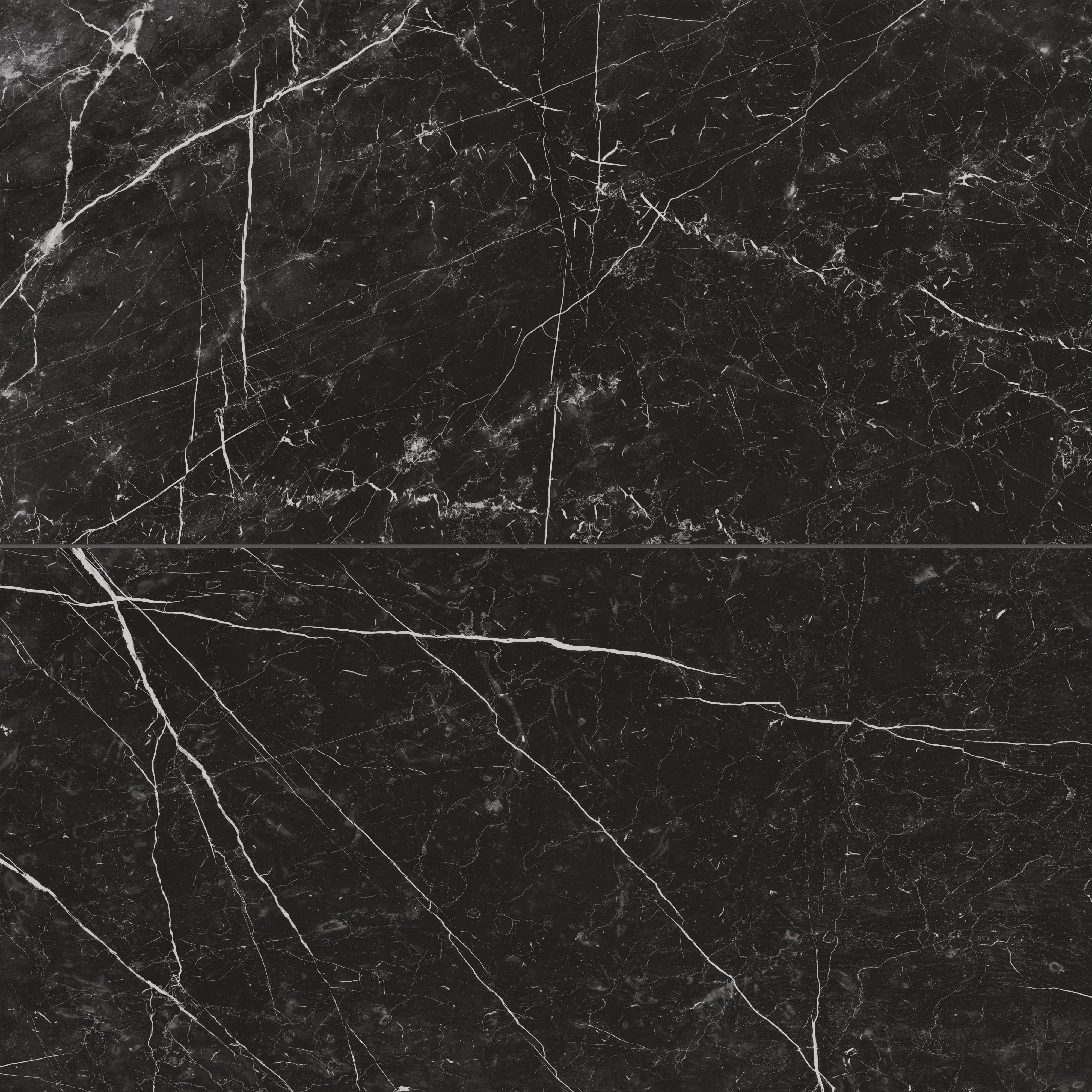 Leona 24x48 Matte Porcelain Tile in Nero Marquina