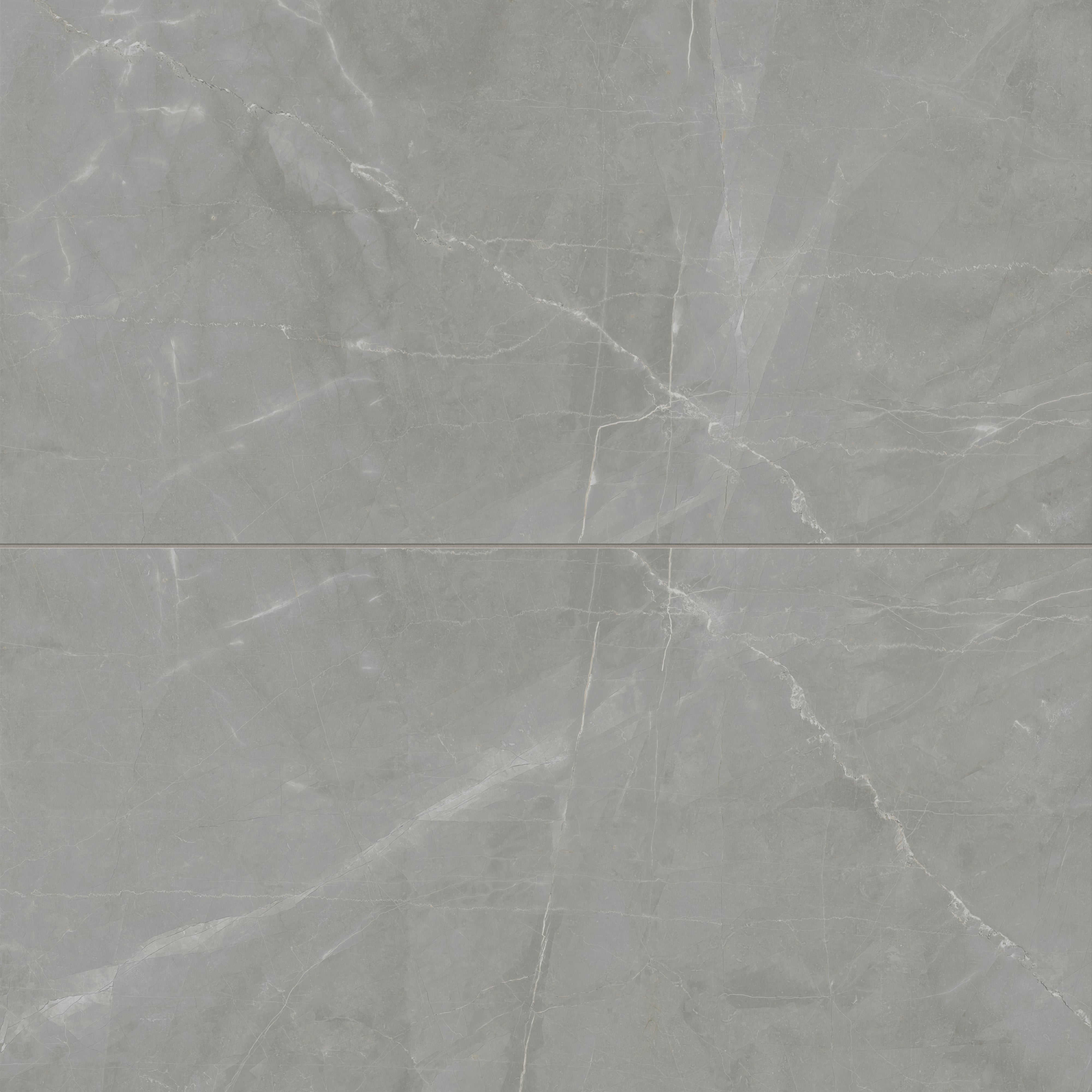 Leona 24x48 Matte Porcelain Tile in Amani Grey