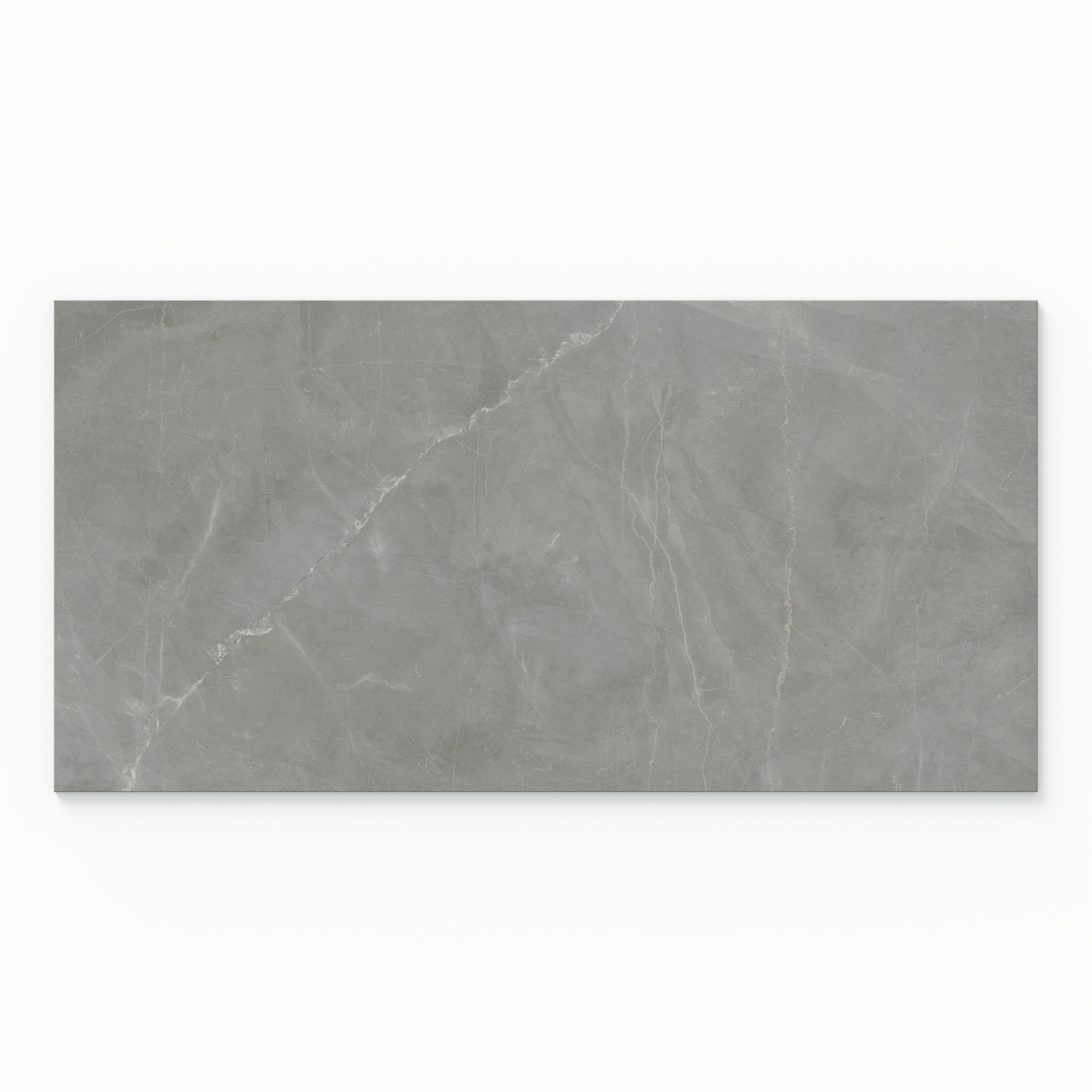 Leona 24x48 Matte Porcelain Tile in Amani Grey