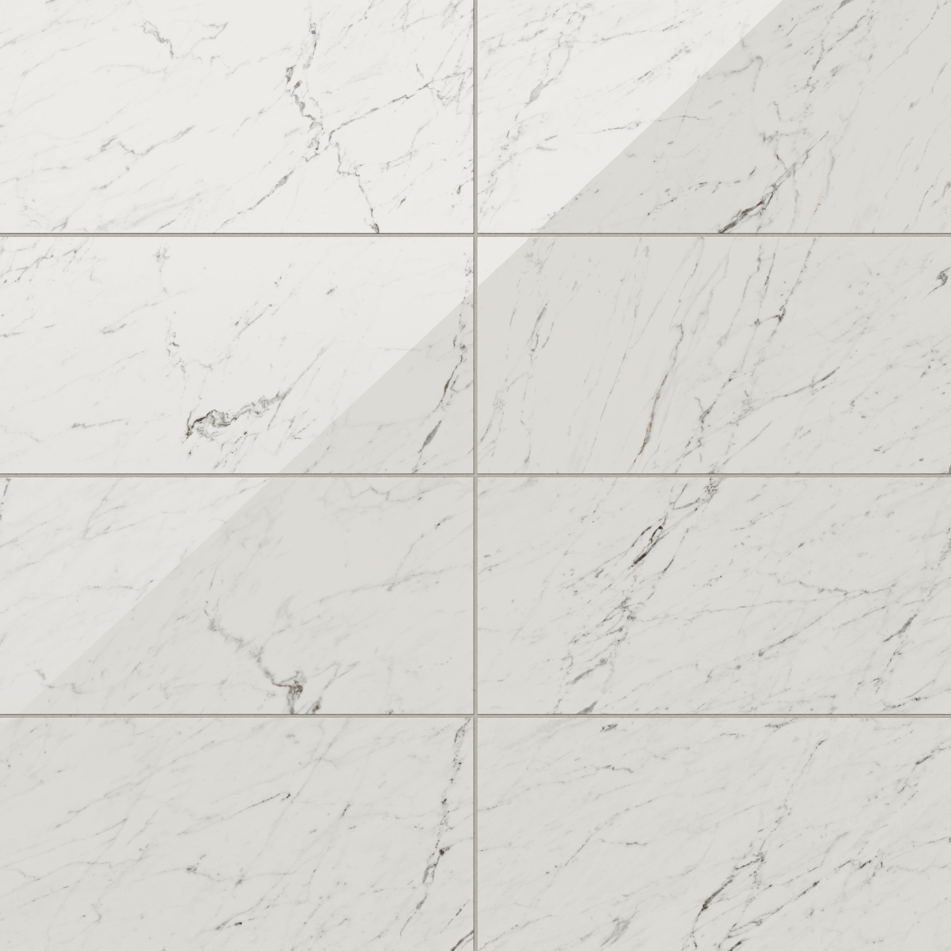 Blair 12x24 Polished Porcelain Tile in White Carrara