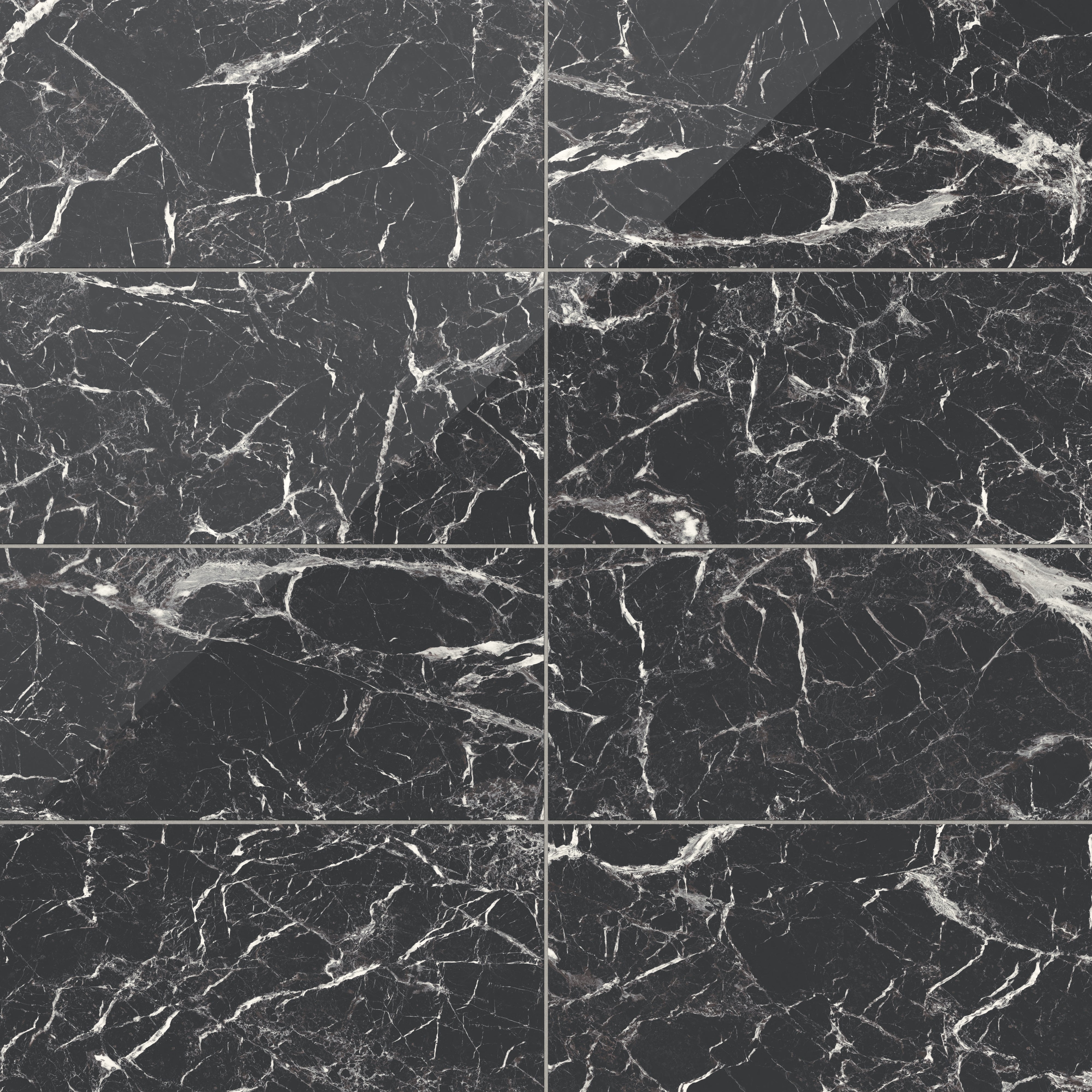 Blair 12x24 Polished Porcelain Tile in Marmo Black