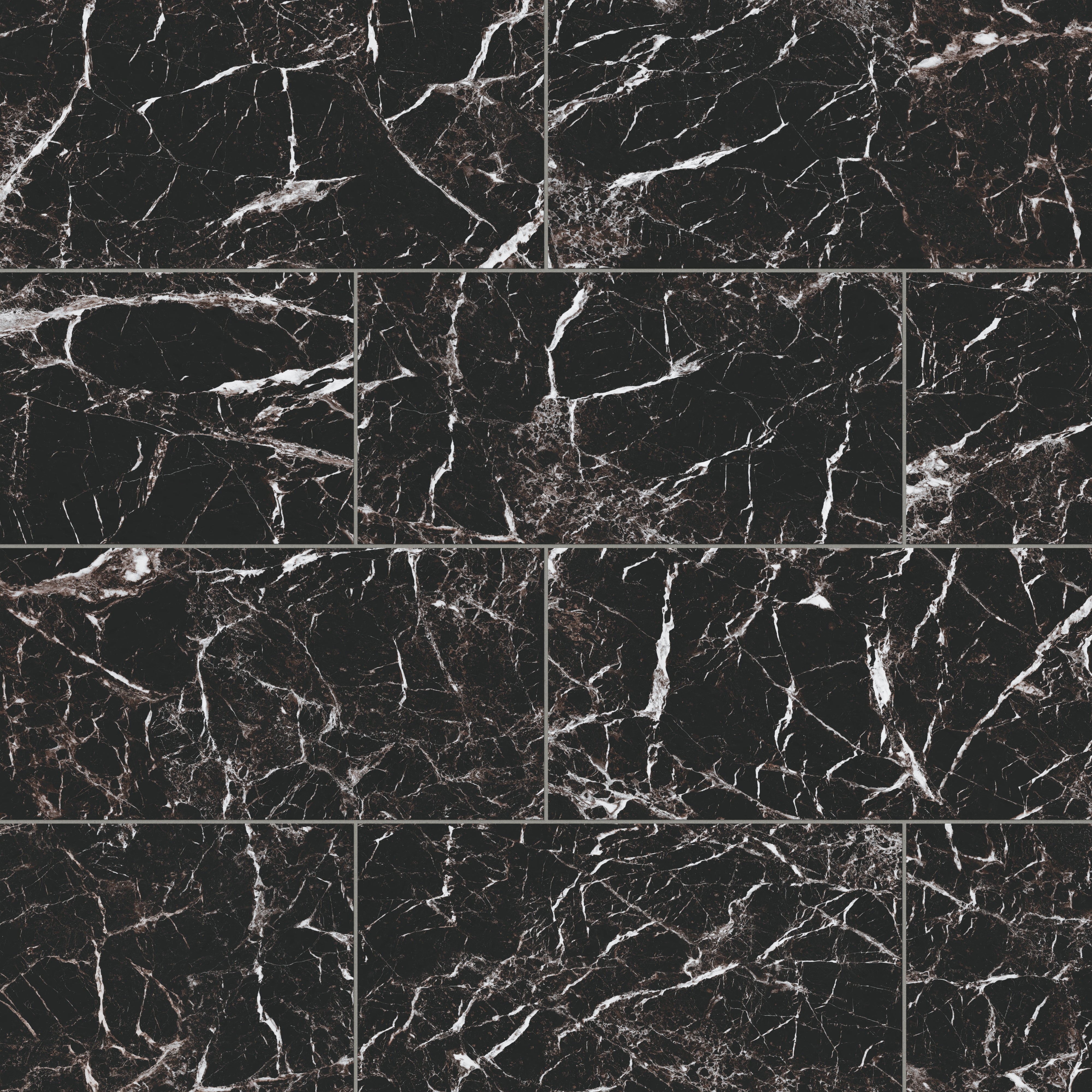 Blair 12x24 Polished Porcelain Tile in Marmo Black