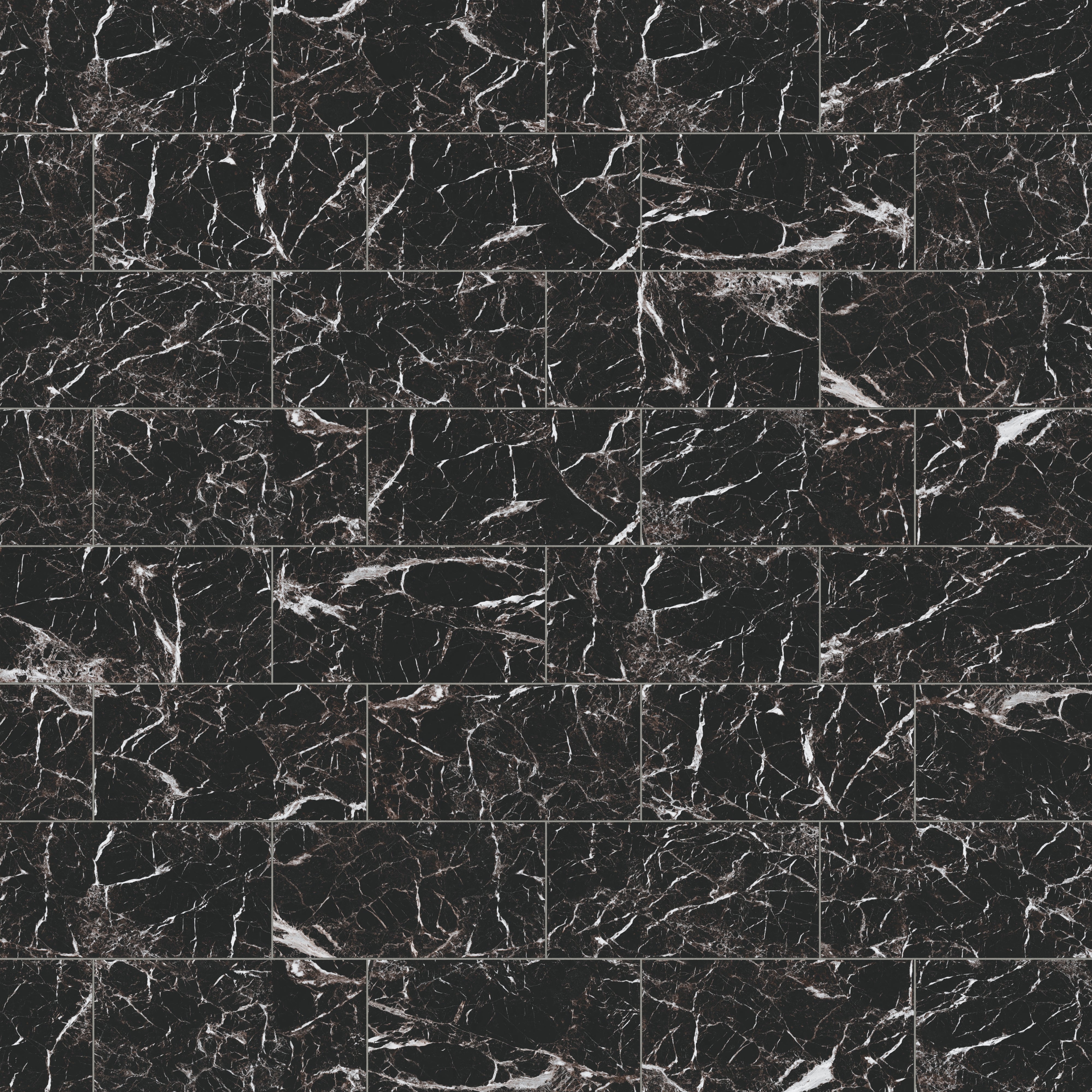 Blair 12x24 Polished Porcelain Tile in Marmo Black