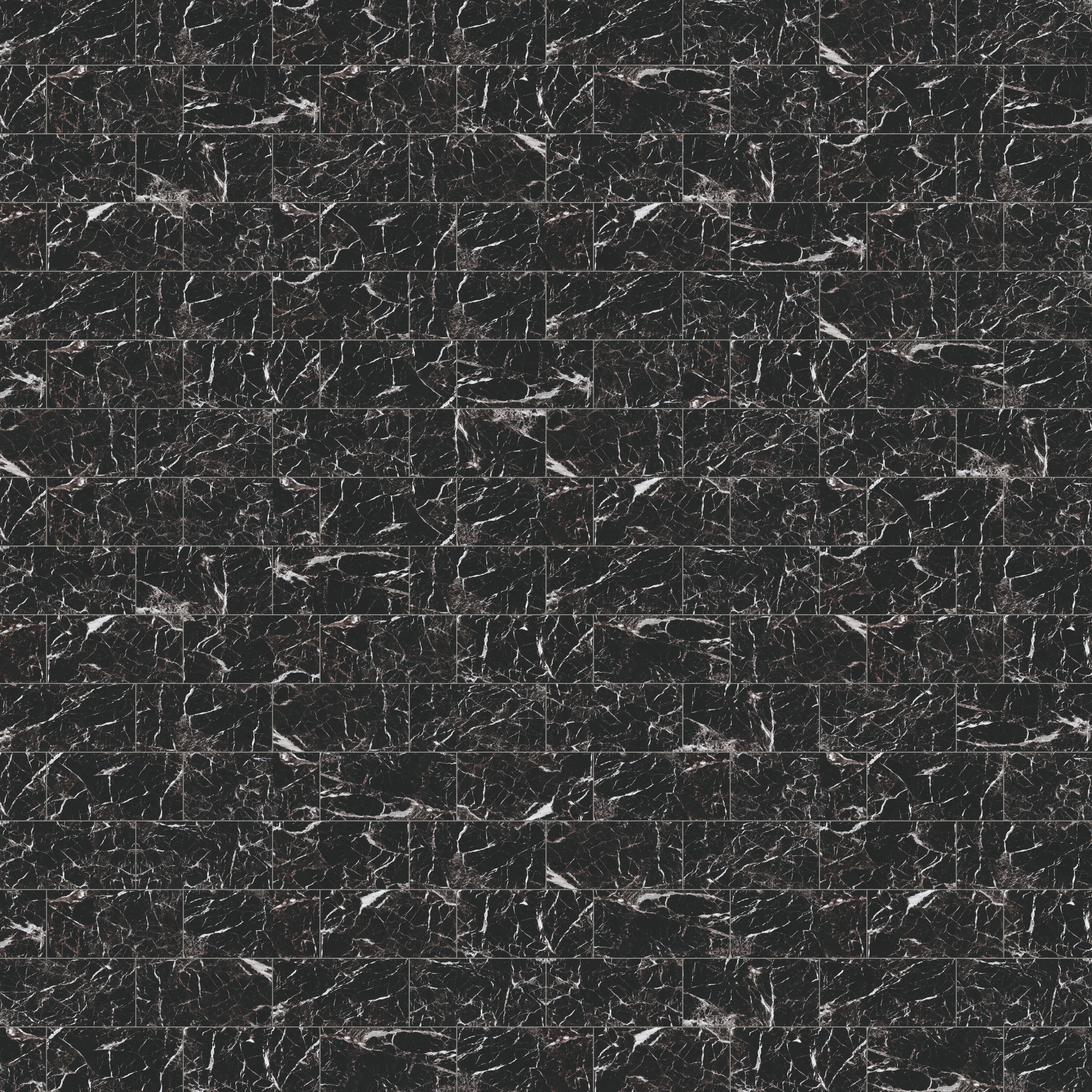 Blair 12x24 Polished Porcelain Tile in Marmo Black