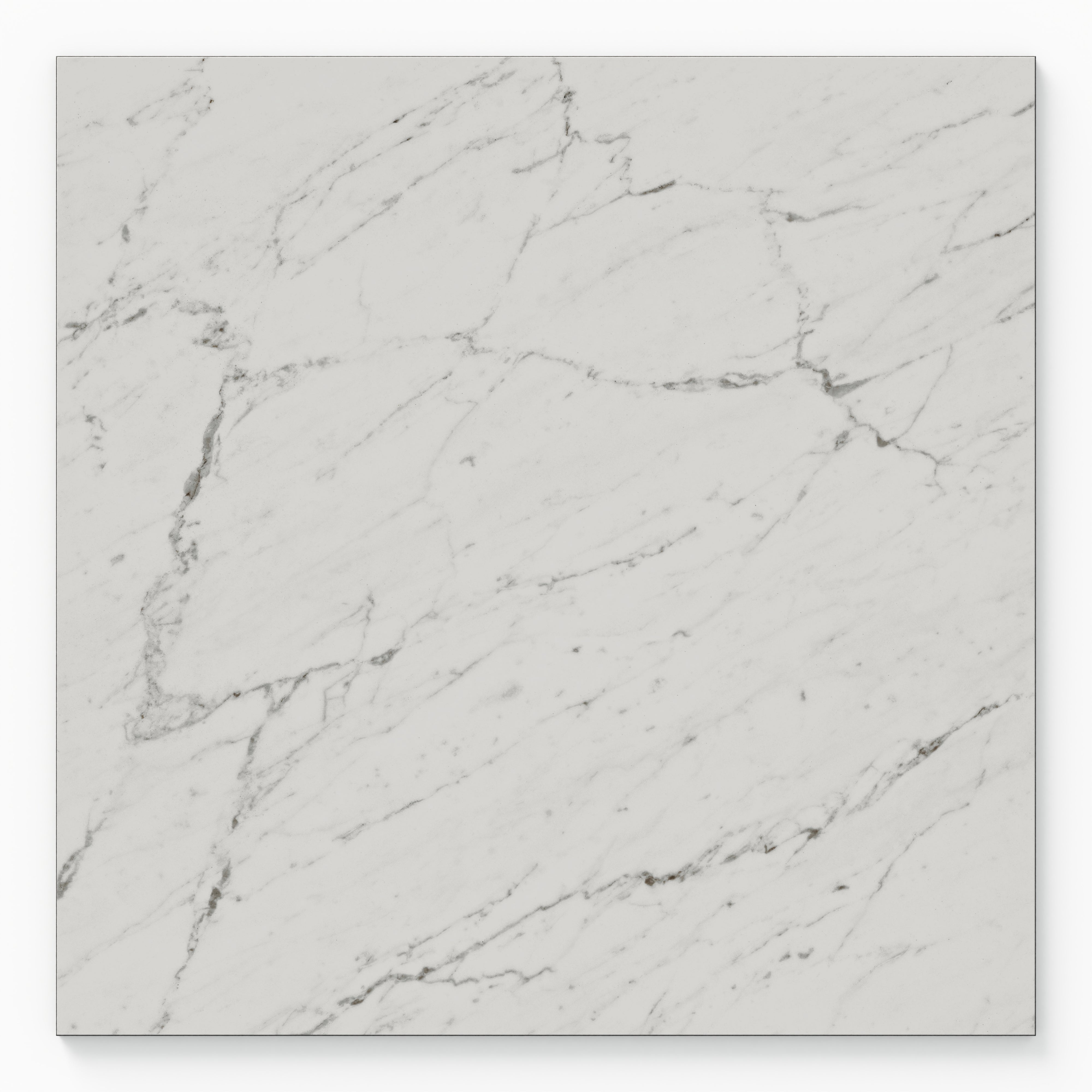 Blair 24x24 Matte Porcelain Tile in White Carrara