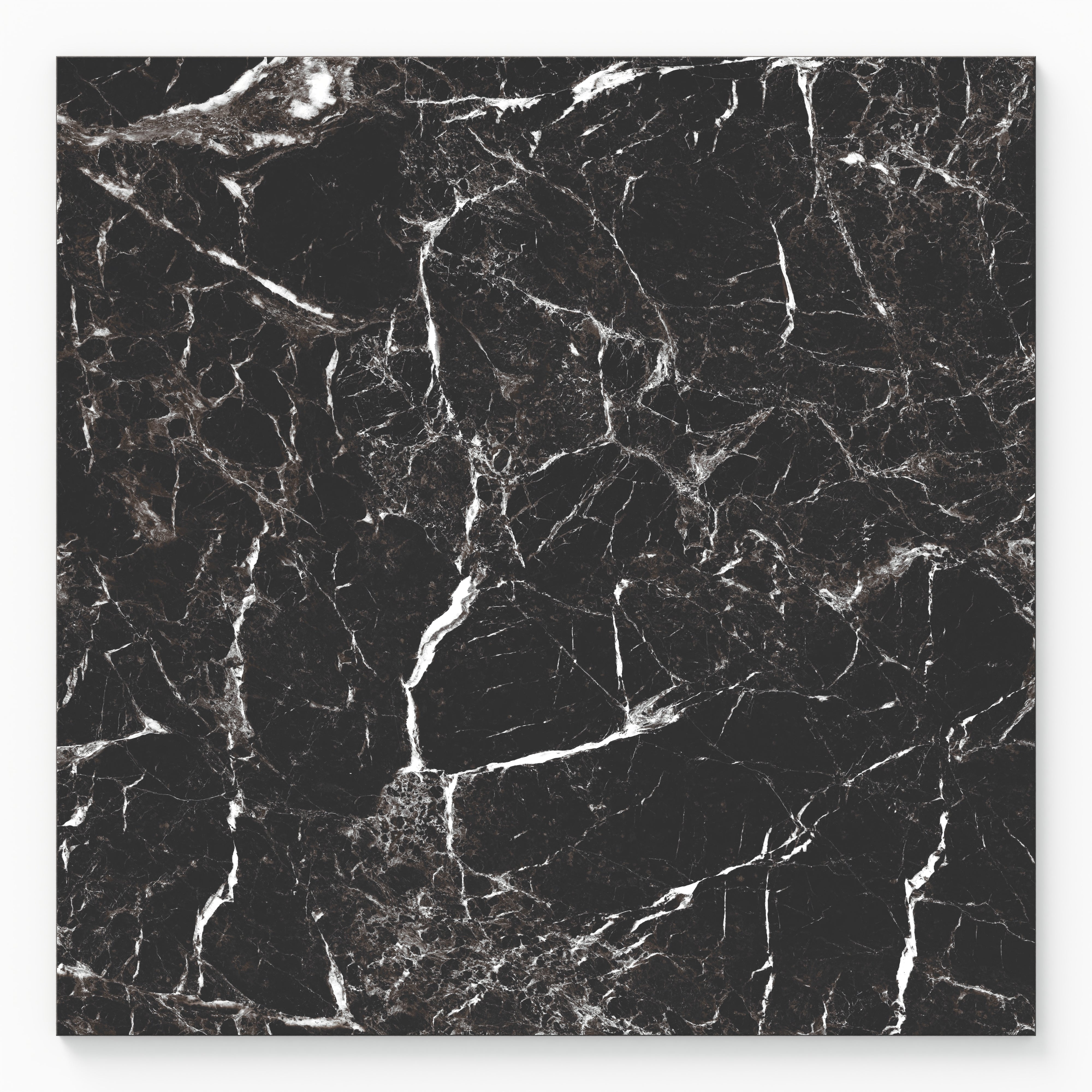 Blair 24x24 Matte Porcelain Tile in Marmo Black