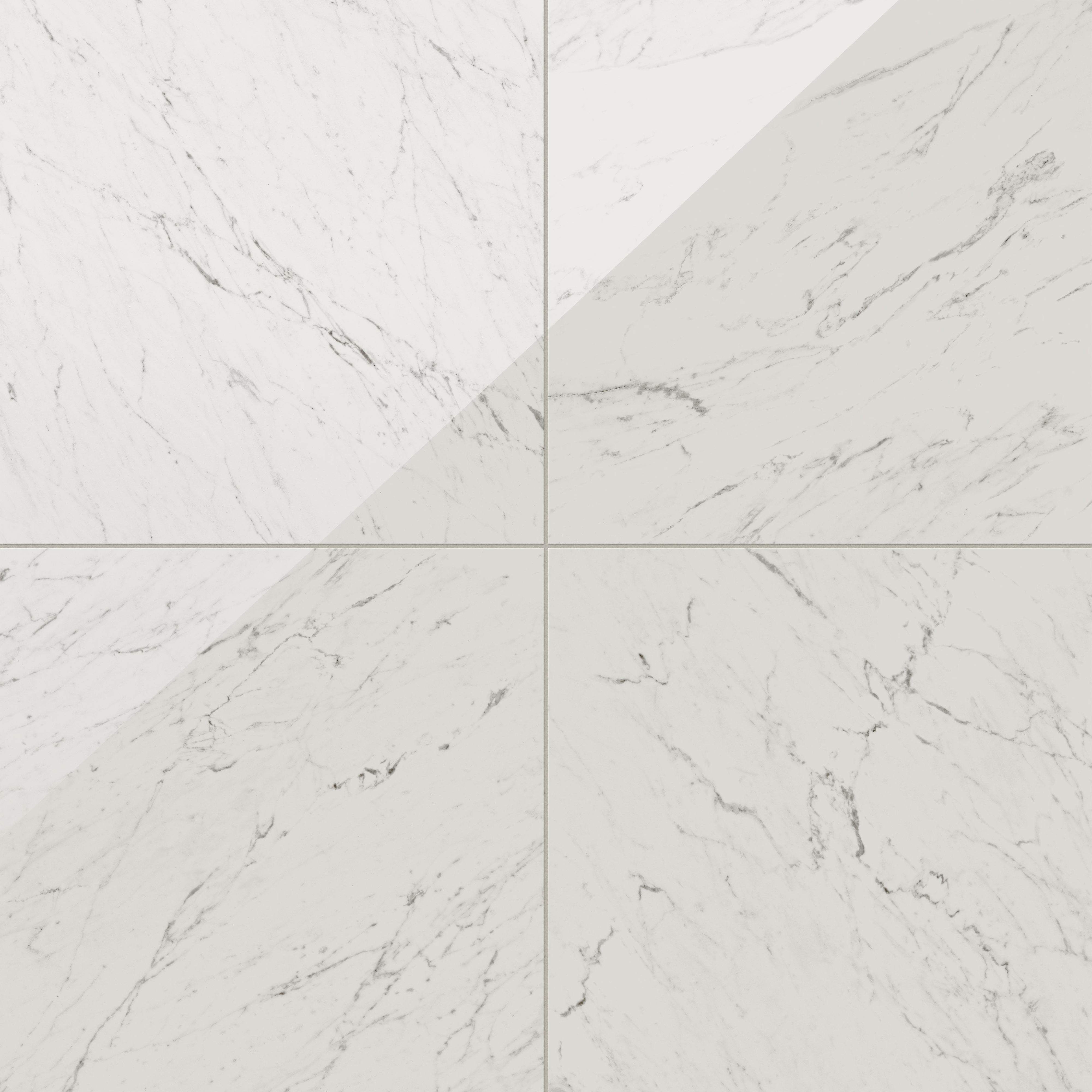 Blair 24x24 Polished Porcelain Tile in White Carrara