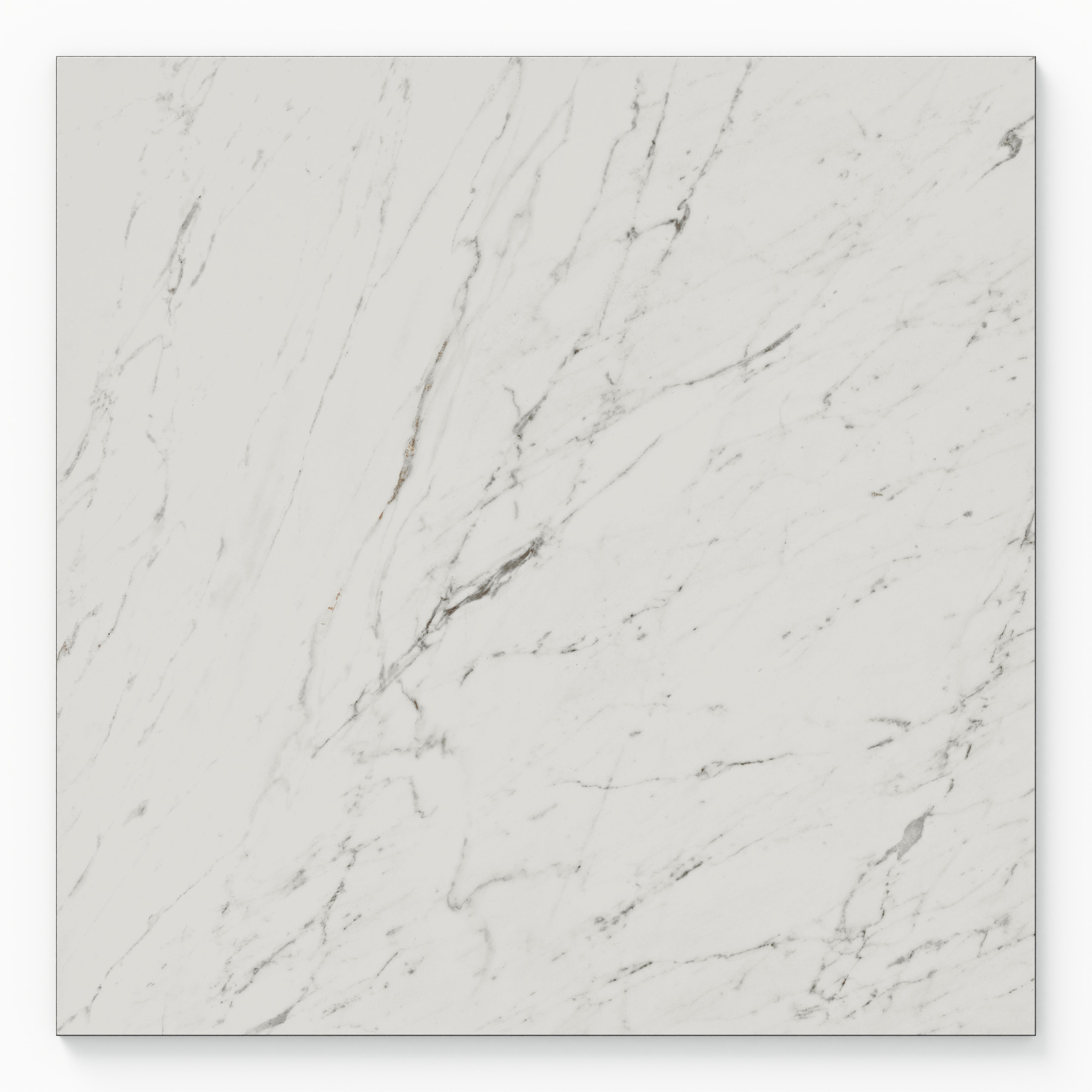 Blair 24x24 Polished Porcelain Tile in White Carrara