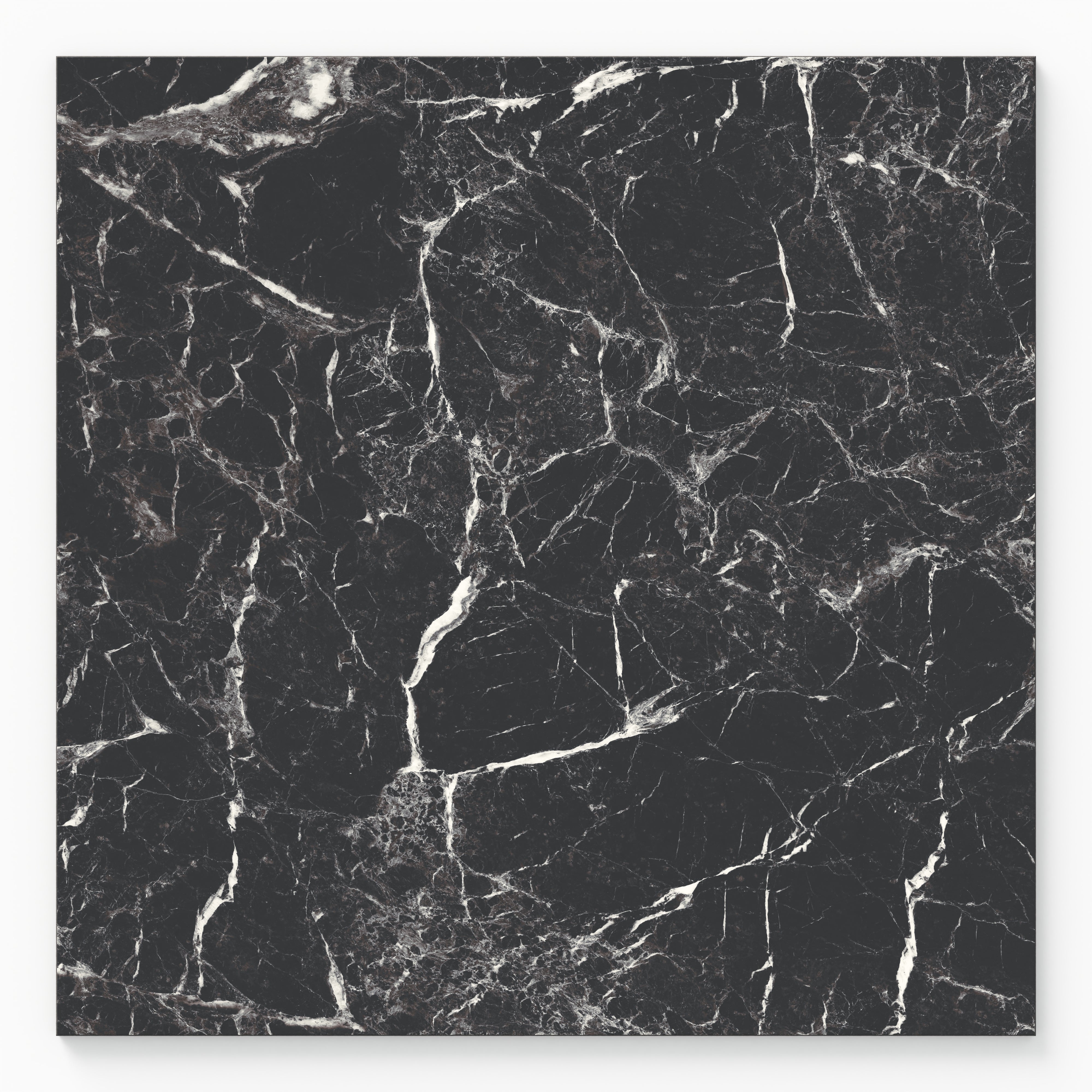 Blair 24x24 Polished Porcelain Tile in Marmo Black