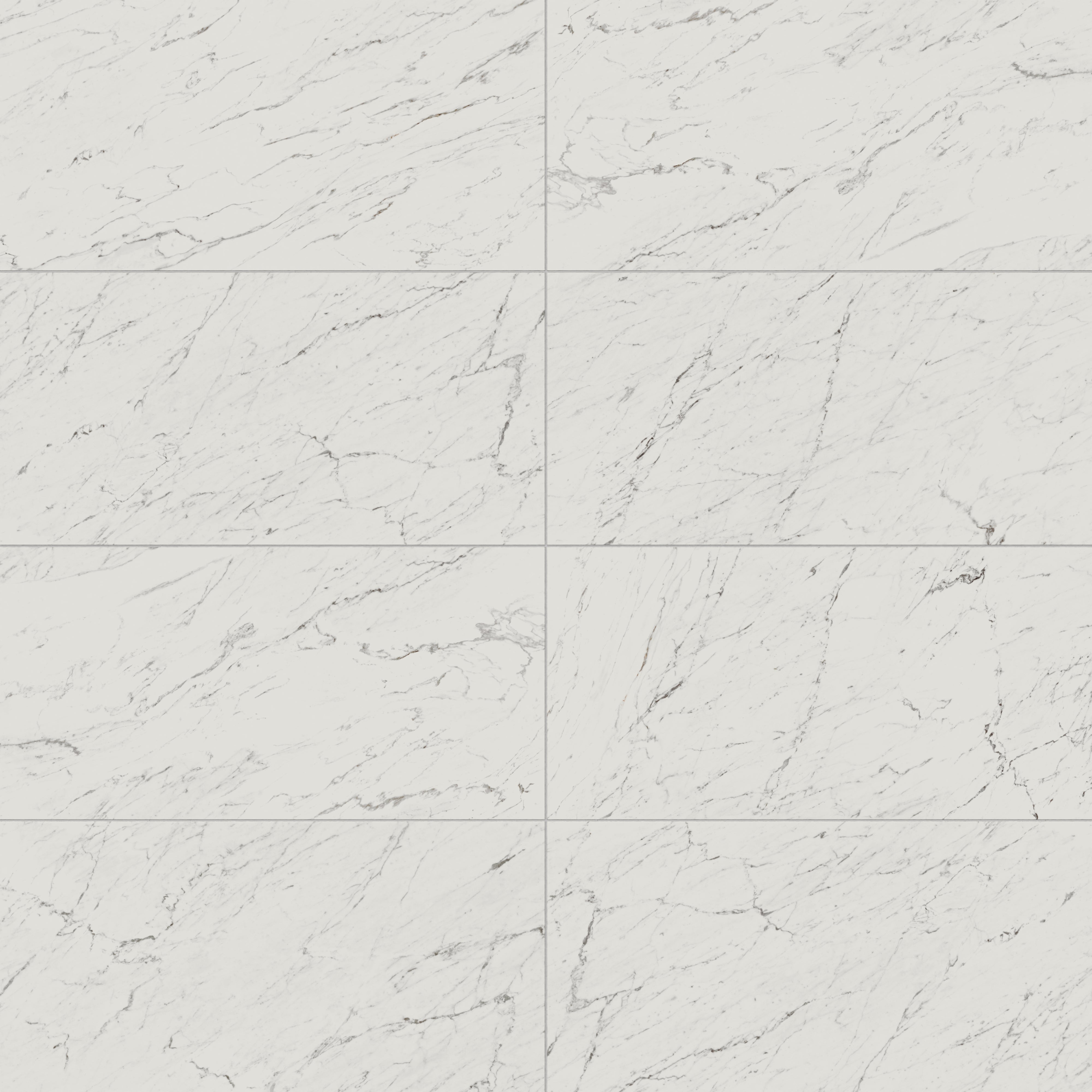 Blair 24x48 Matte Porcelain Tile in White Carrara