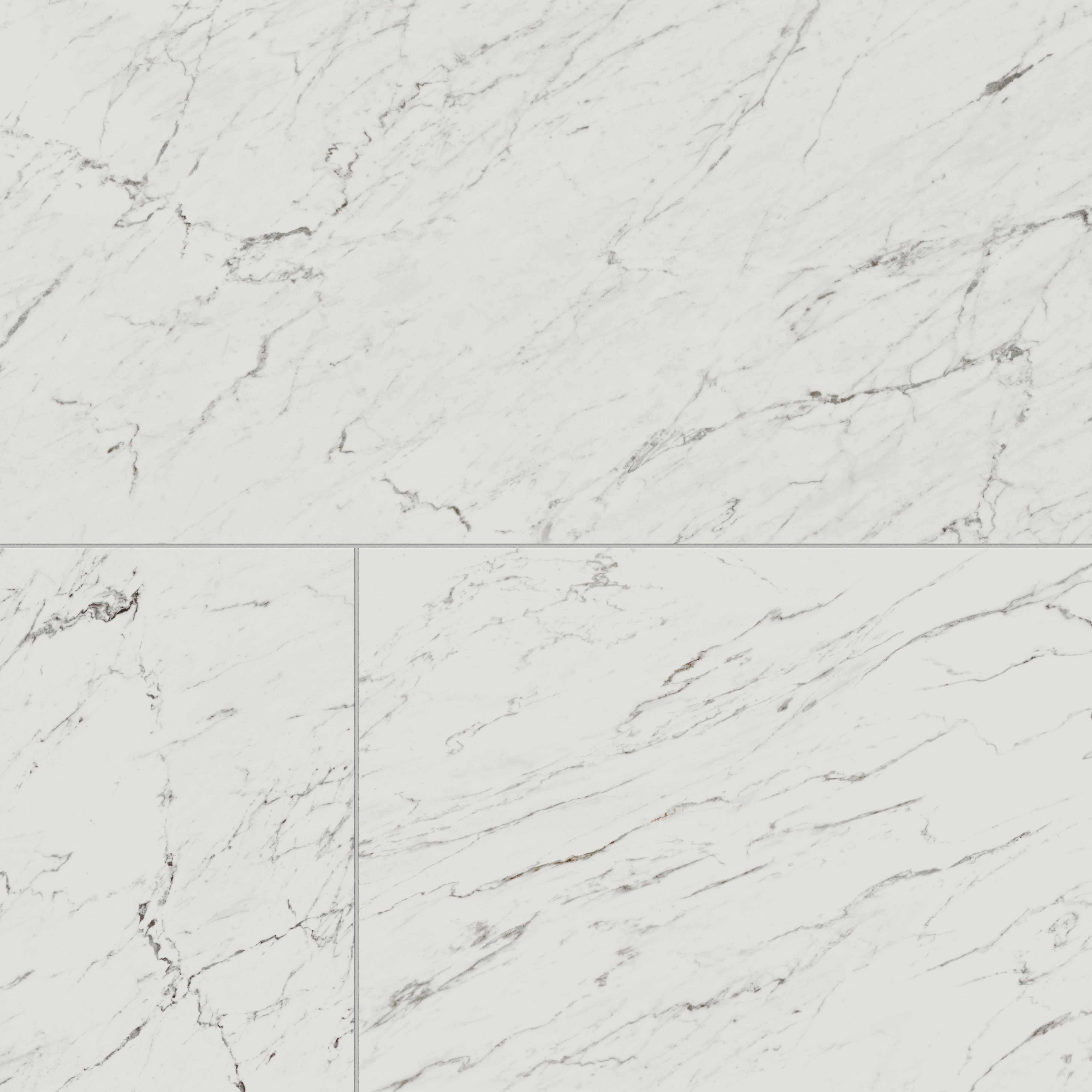 Blair 24x48 Matte Porcelain Tile in White Carrara