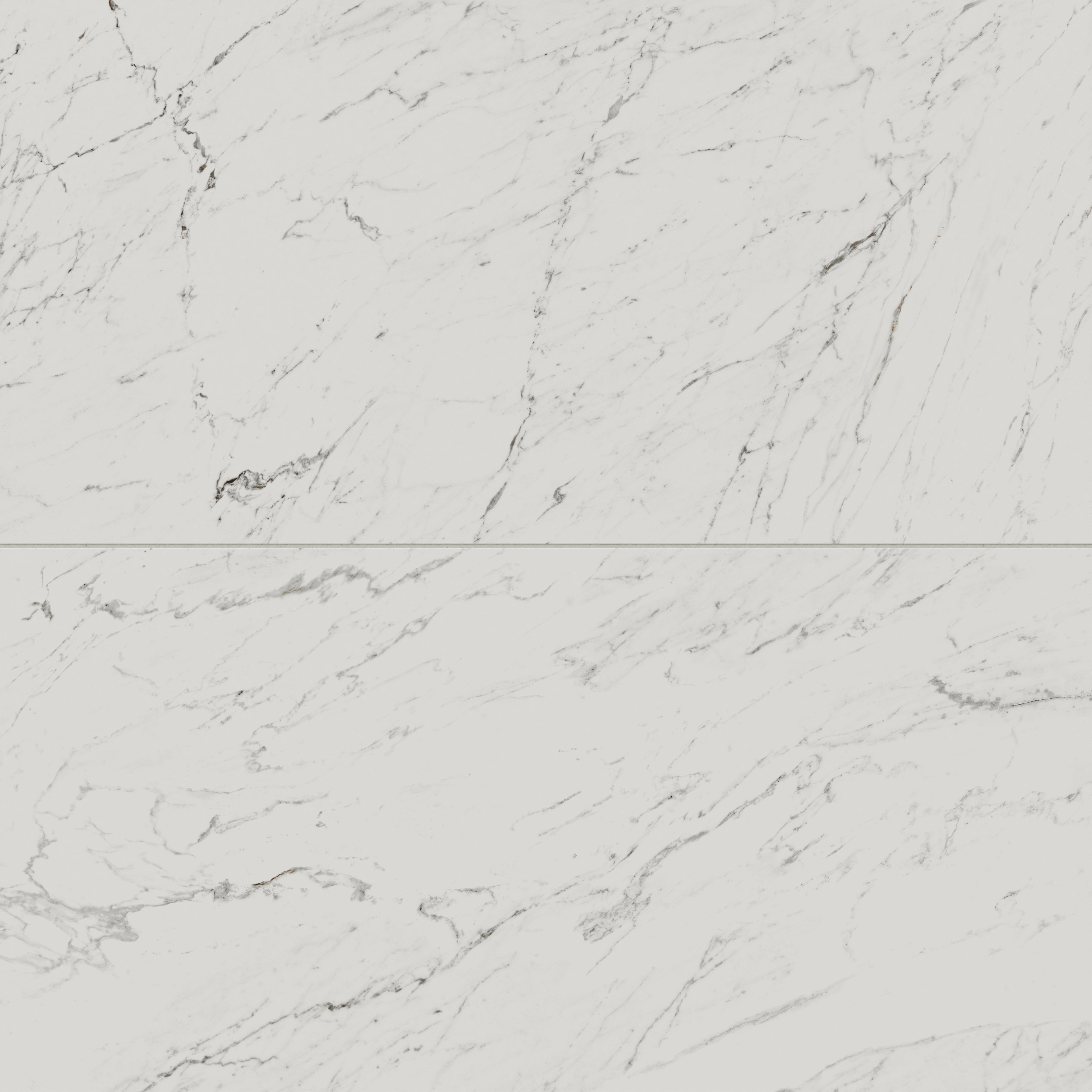 Blair 24x48 Matte Porcelain Tile in White Carrara