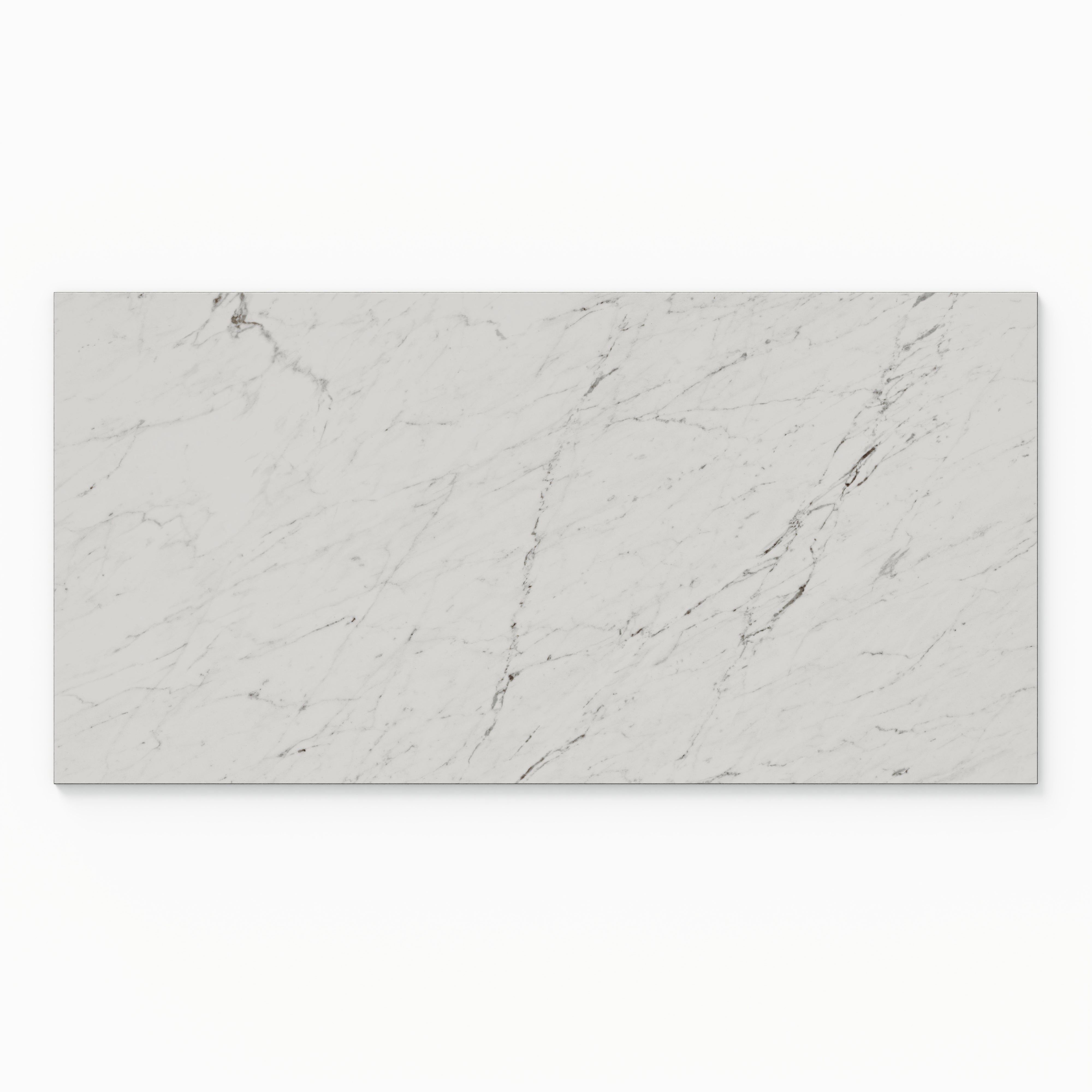 Blair 24x48 Matte Porcelain Tile in White Carrara