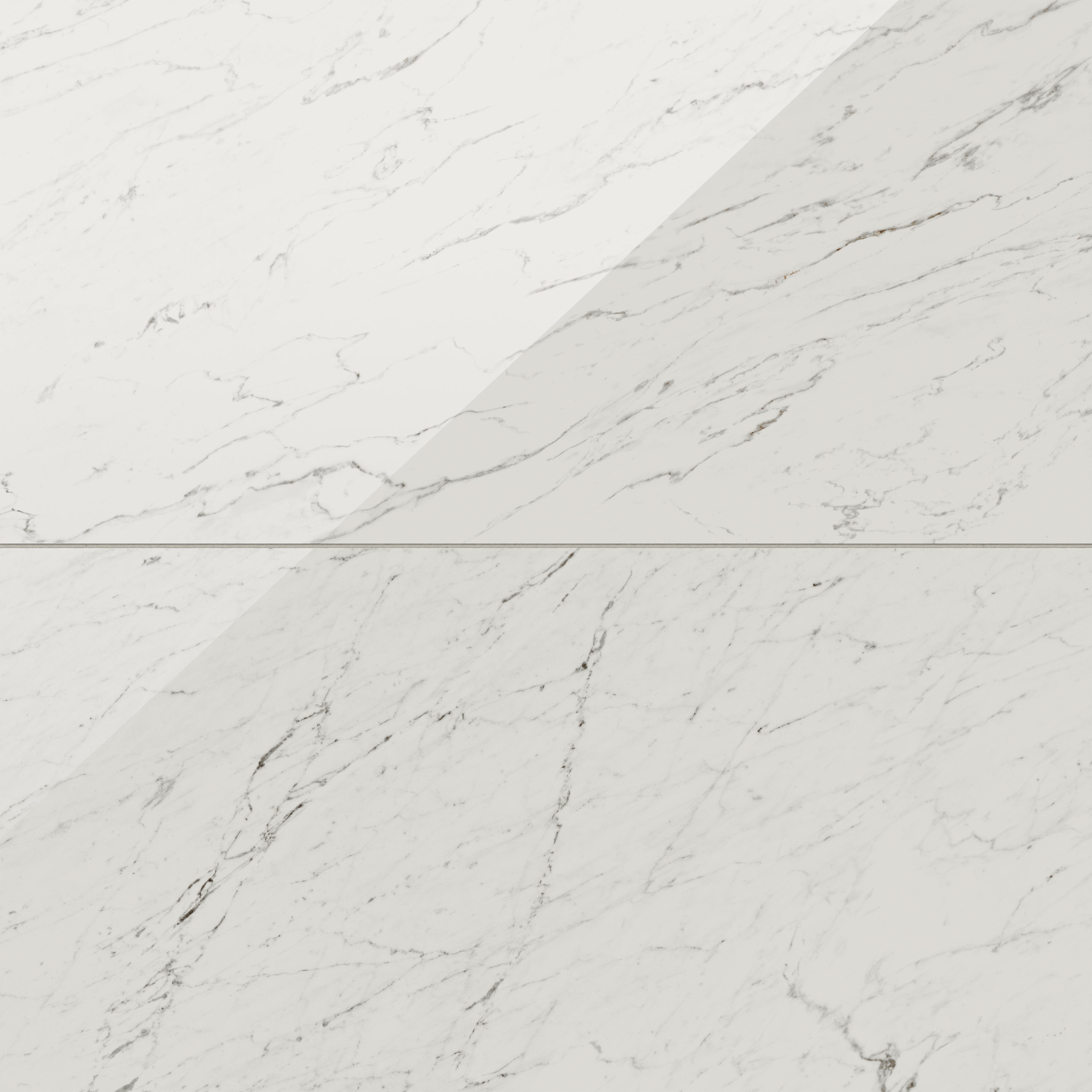 Blair 24x48 Polished Porcelain Tile in White Carrara