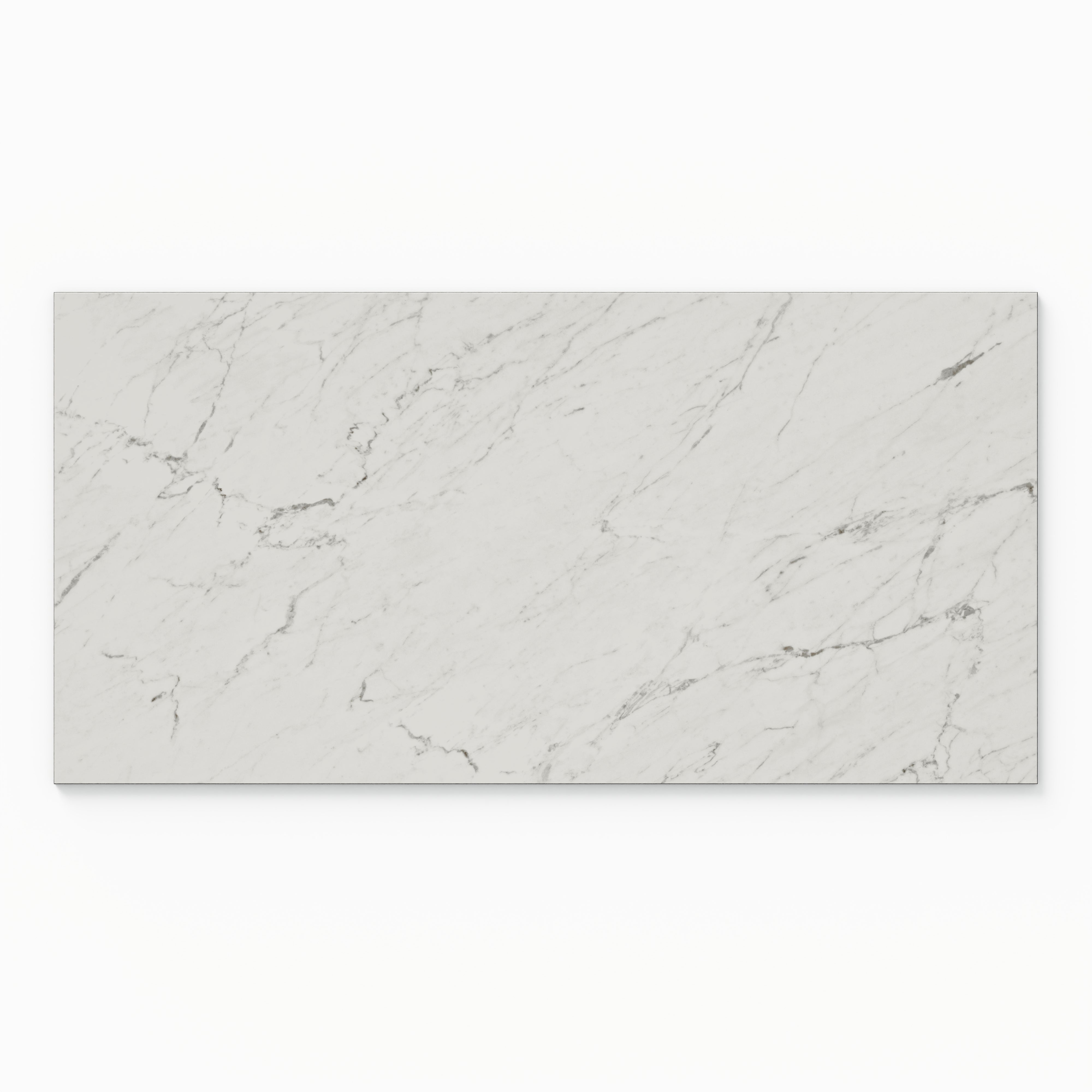 Blair 24x48 Polished Porcelain Tile in White Carrara