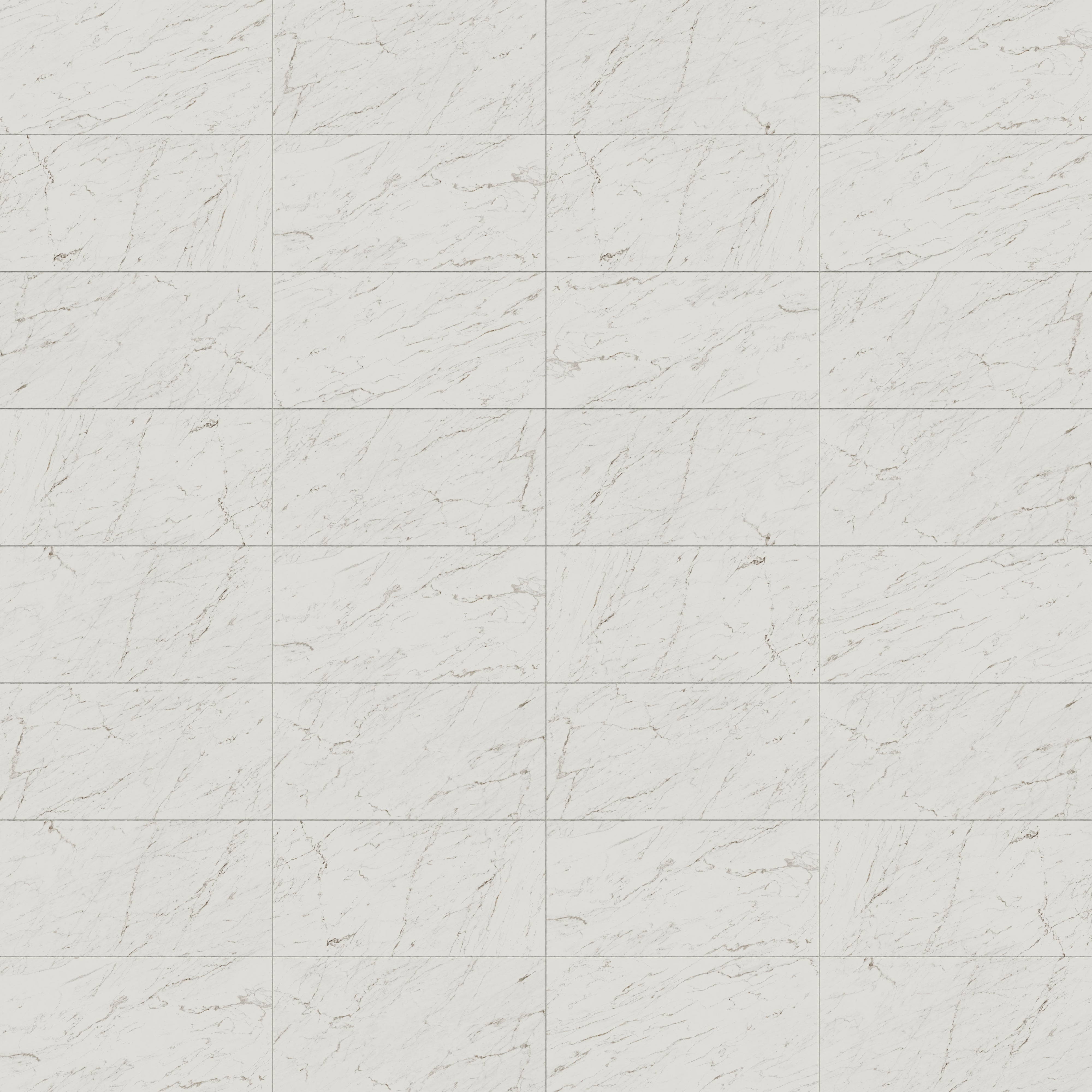 Blair 24x48 Polished Porcelain Tile in White Carrara