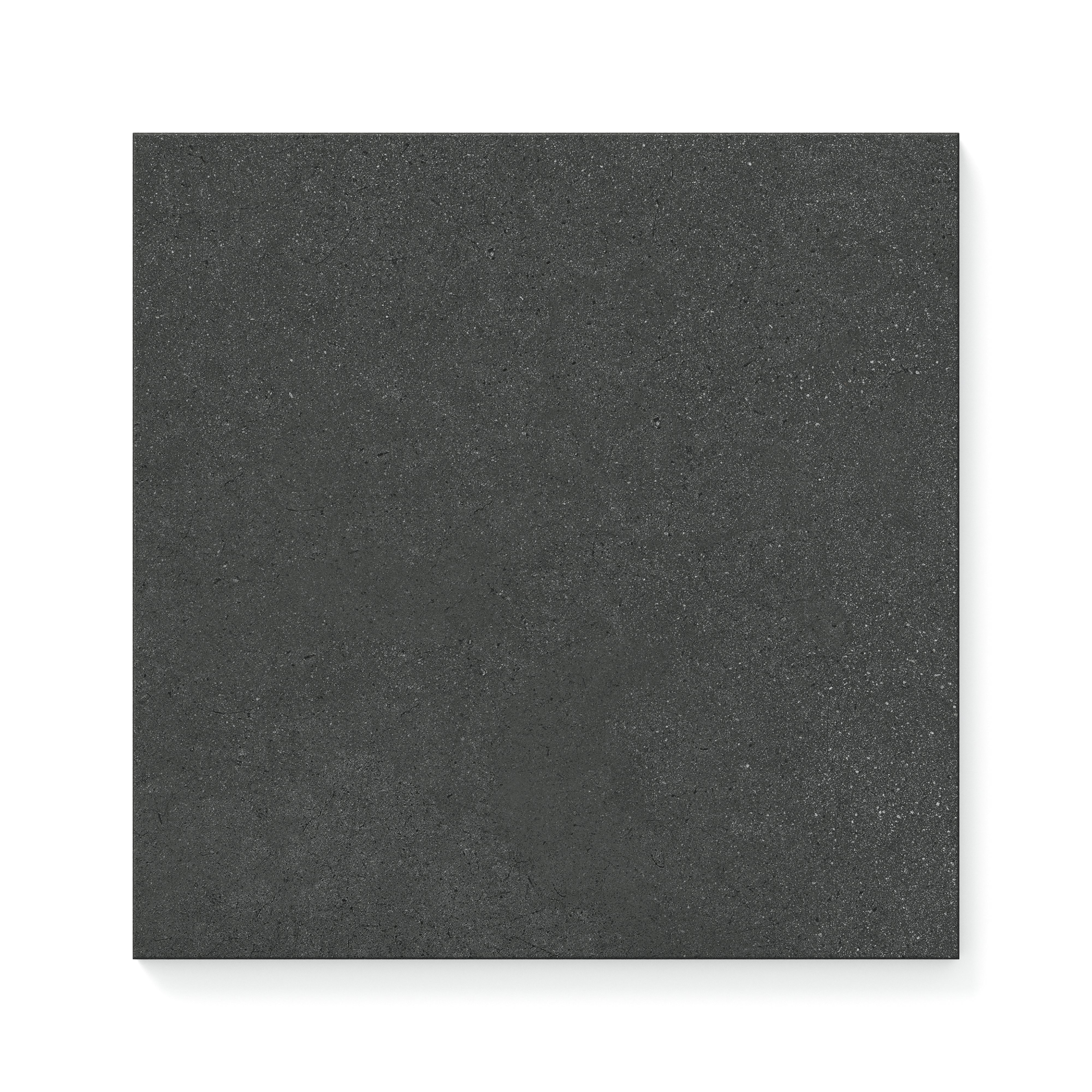 Palmer 12x12 Matte Porcelain Tile in Nero