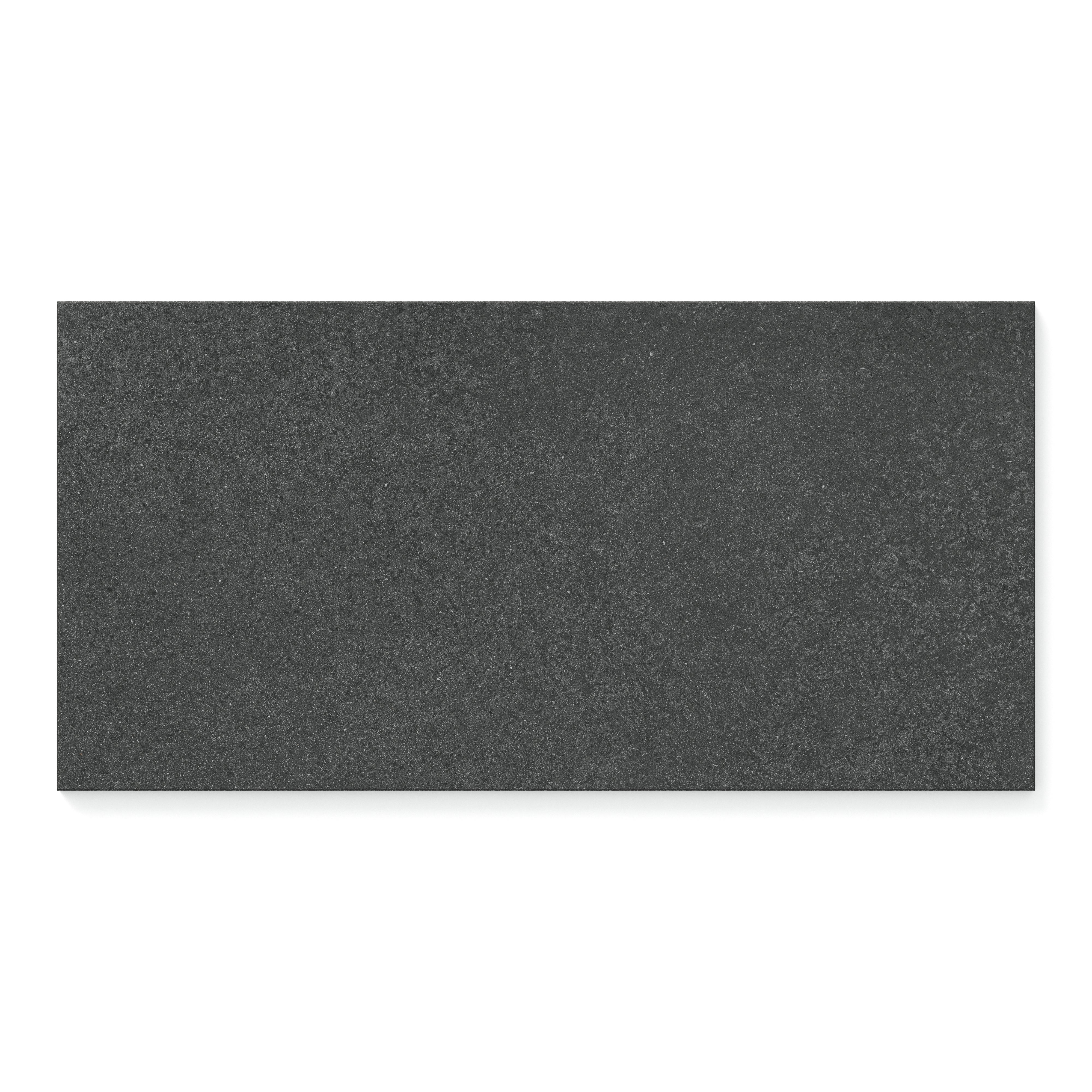 Palmer 12x24 Matte Porcelain Tile in Nero