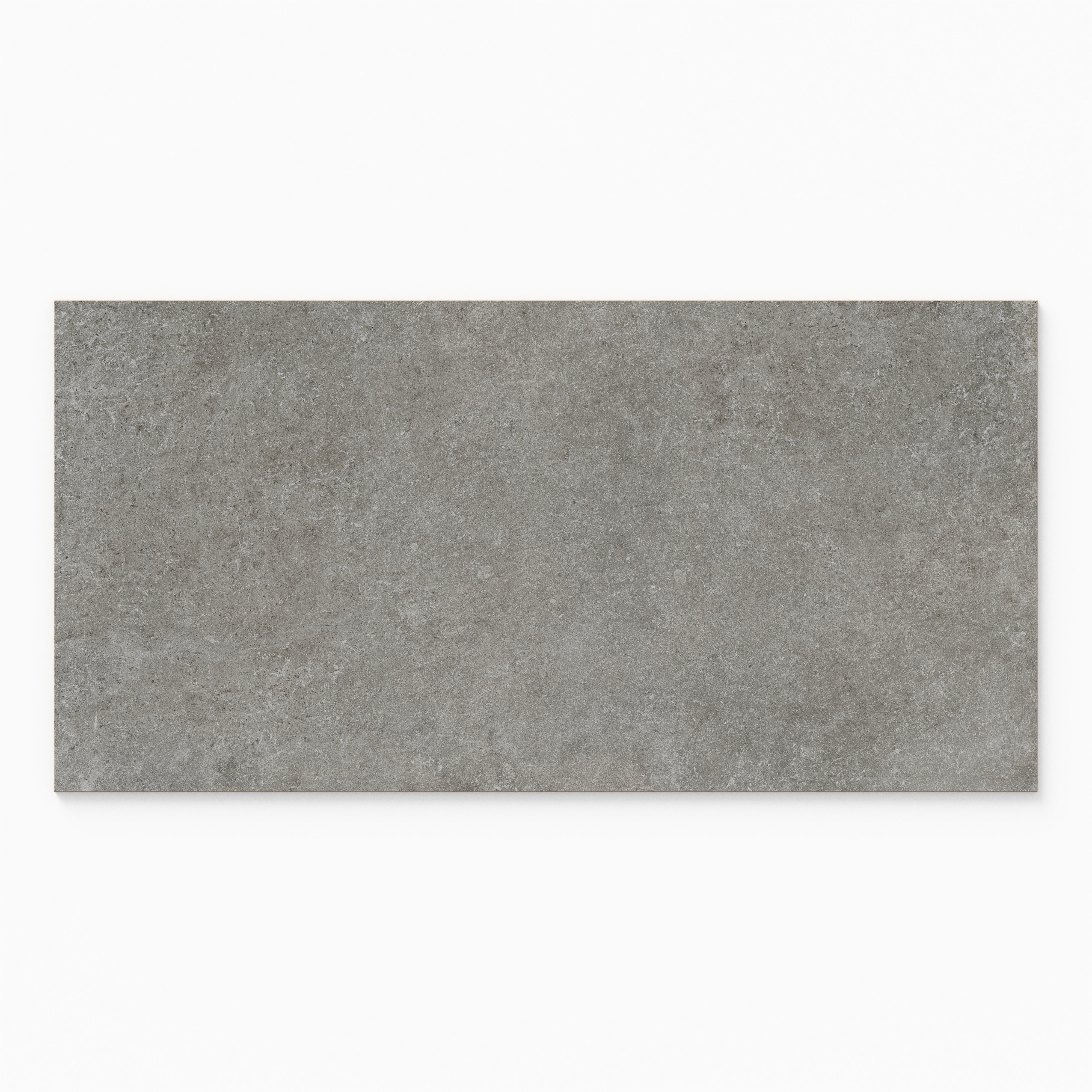 Kennedy 24x48 Matte Porcelain Tile in Graphite