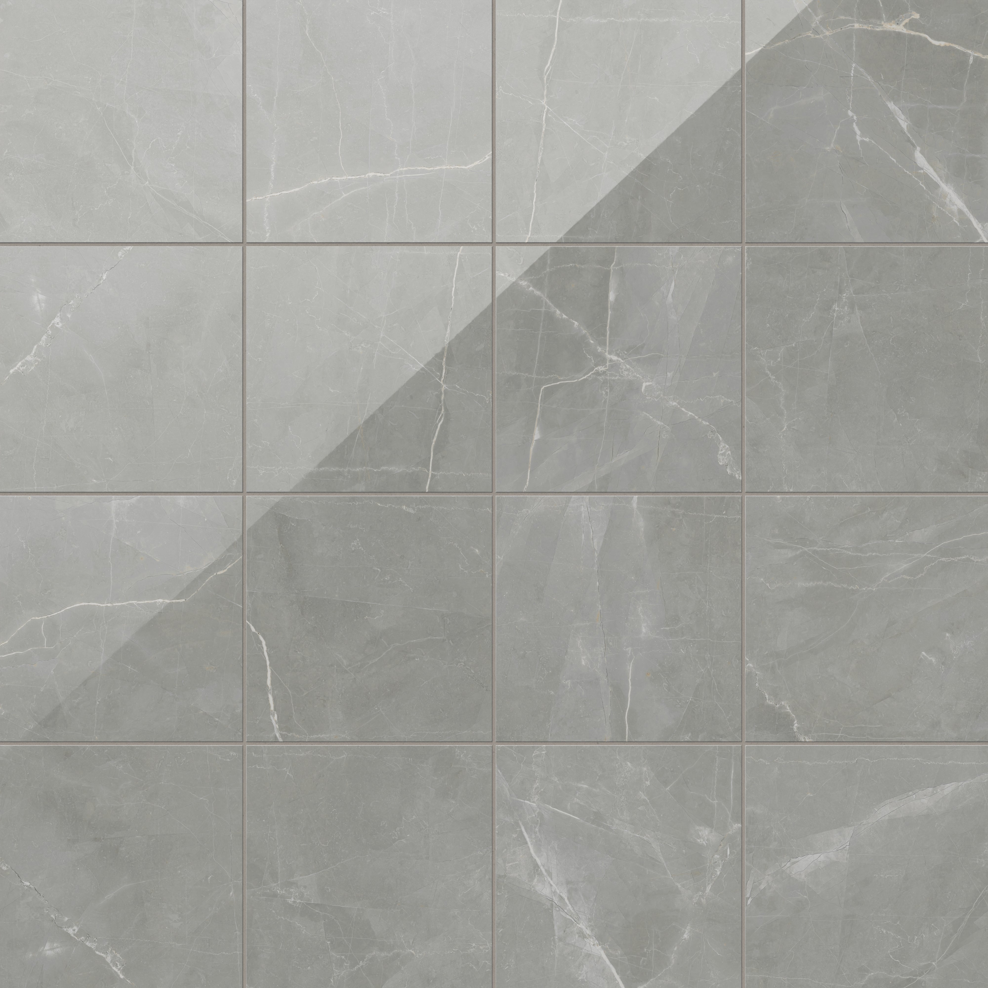 Leona 12x12 Polished Porcelain Tile in Amani Grey