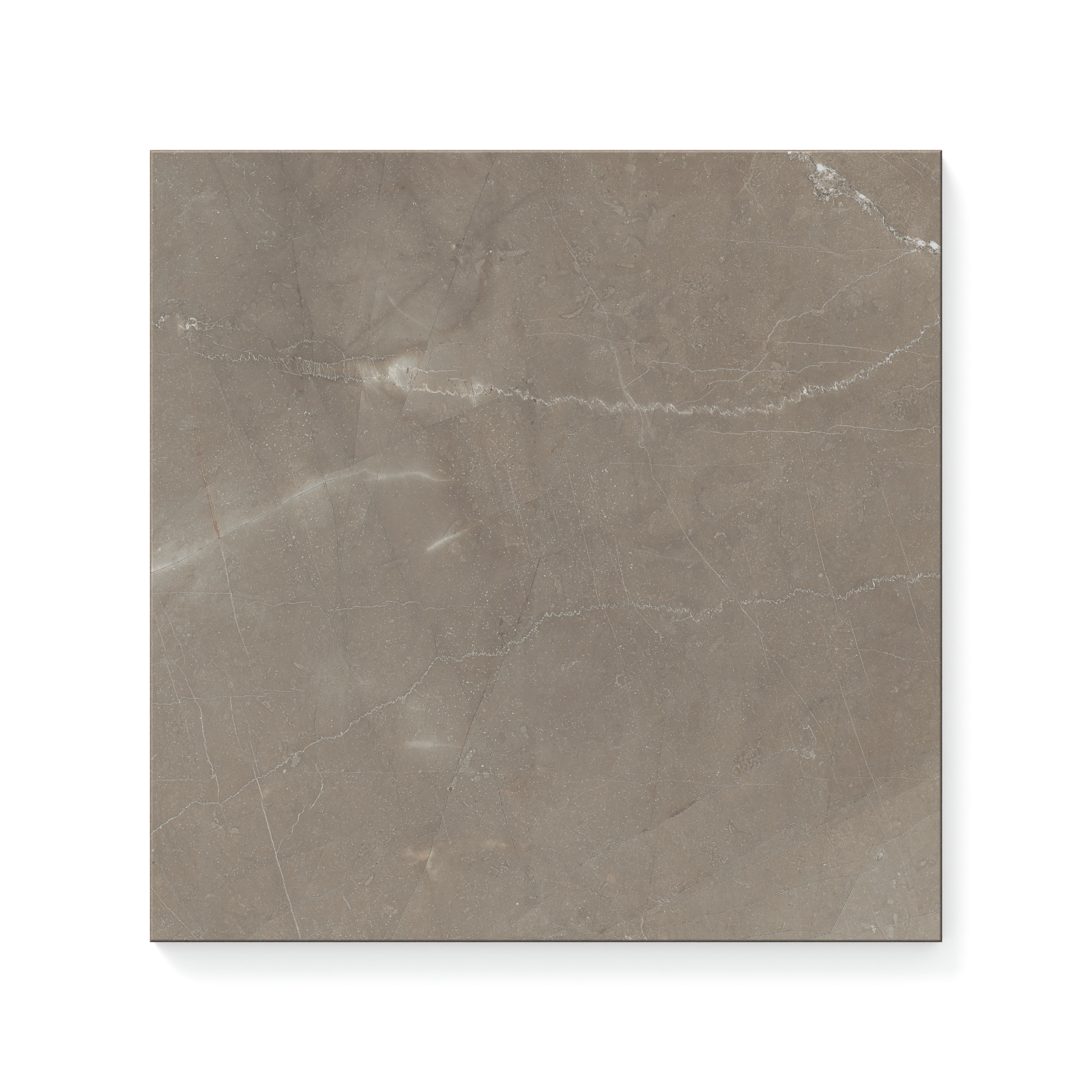 Leona 12x12 Polished Porcelain Tile in Amani Bronze