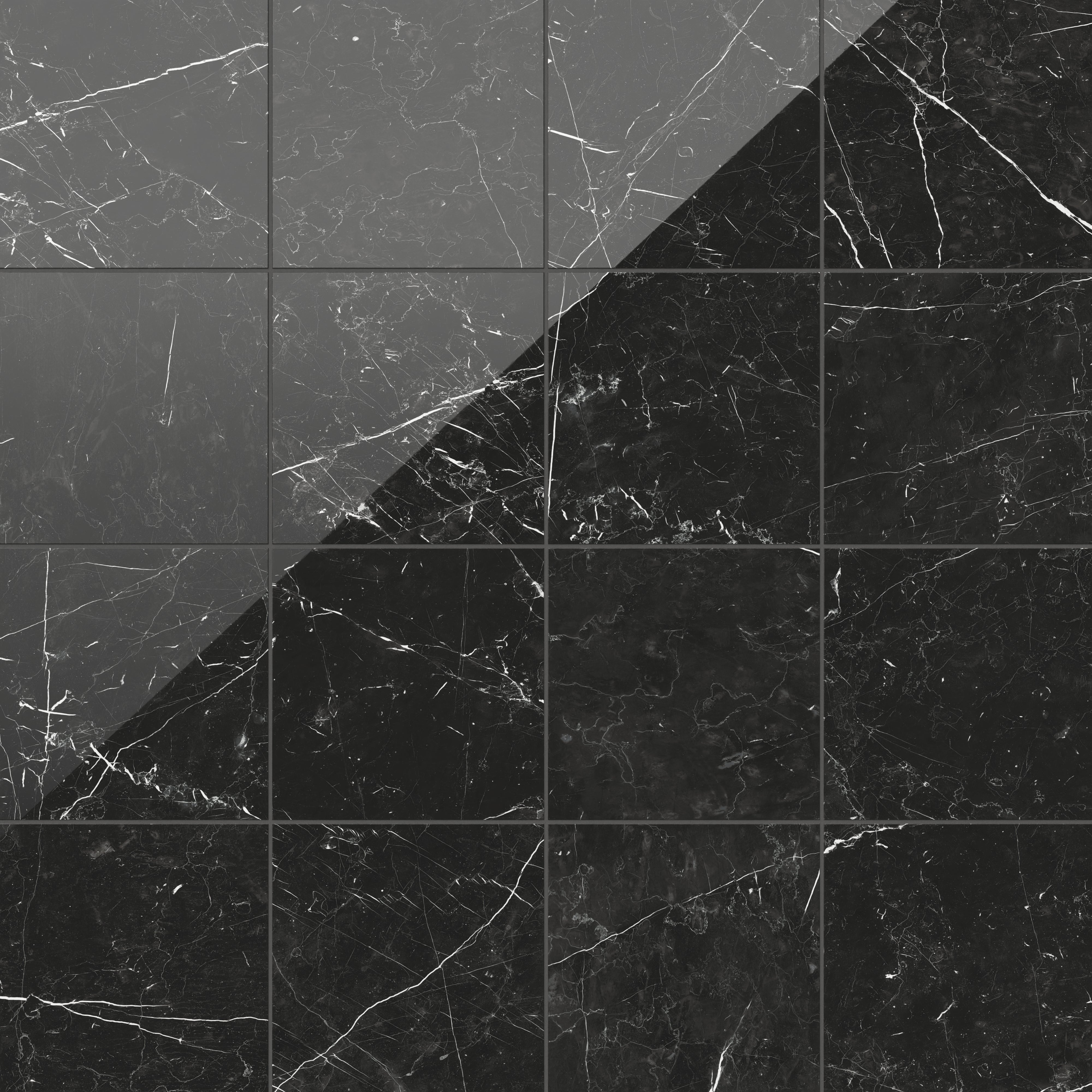 Leona 12x12 Polished Porcelain Tile in Nero Marquina