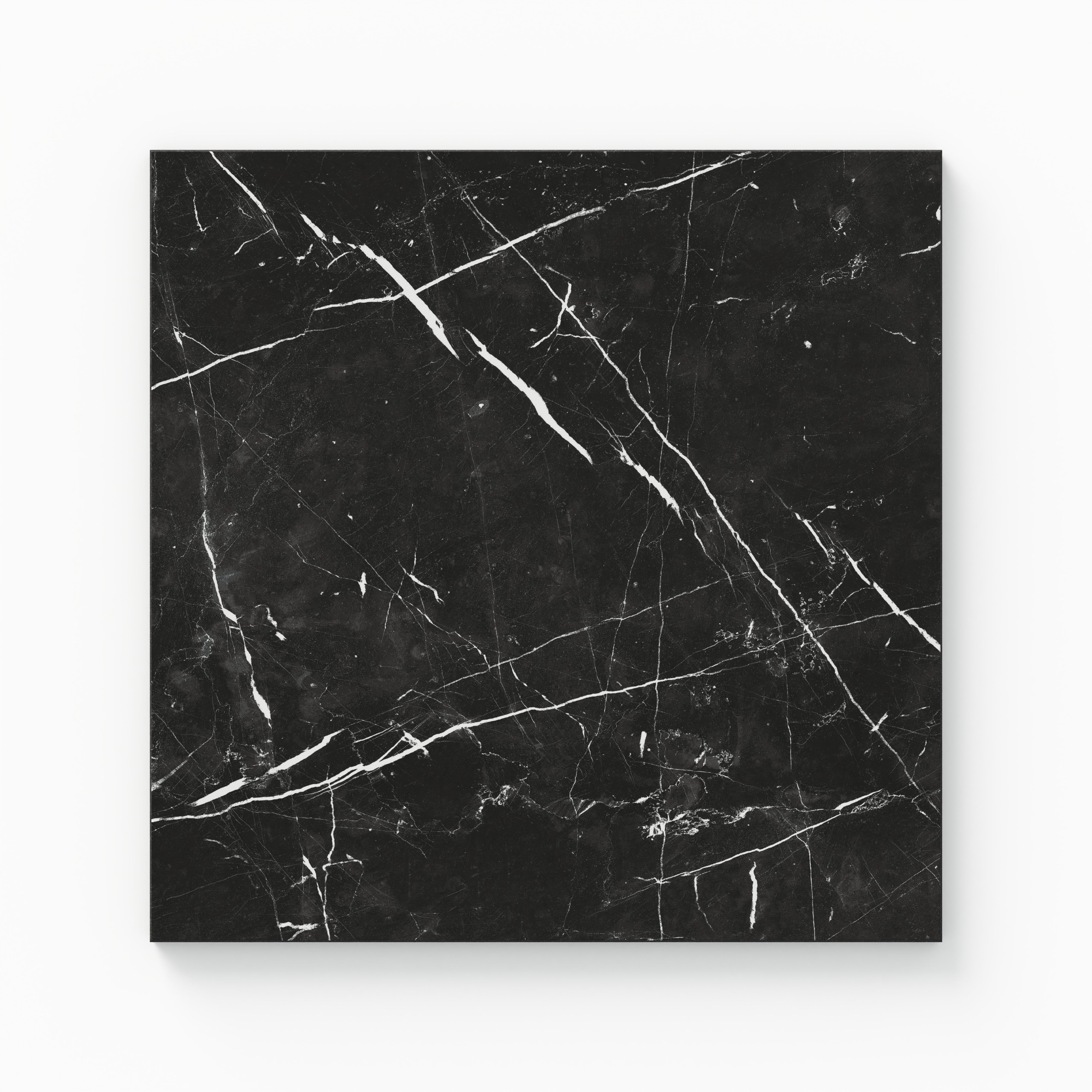 Leona 12x12 Polished Porcelain Tile in Nero Marquina